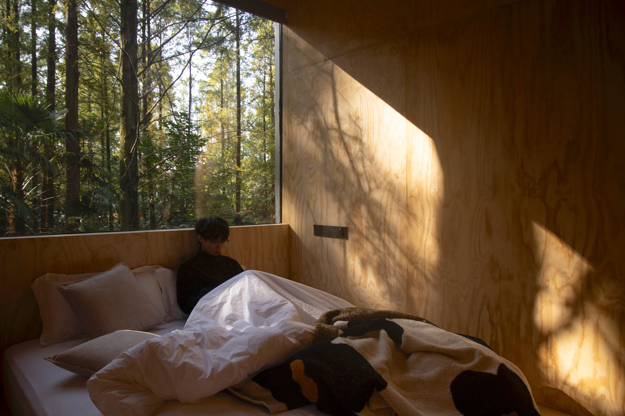 Plywood bedroom wall with dappled tree shadows cast through the forest-facing window at sunrise