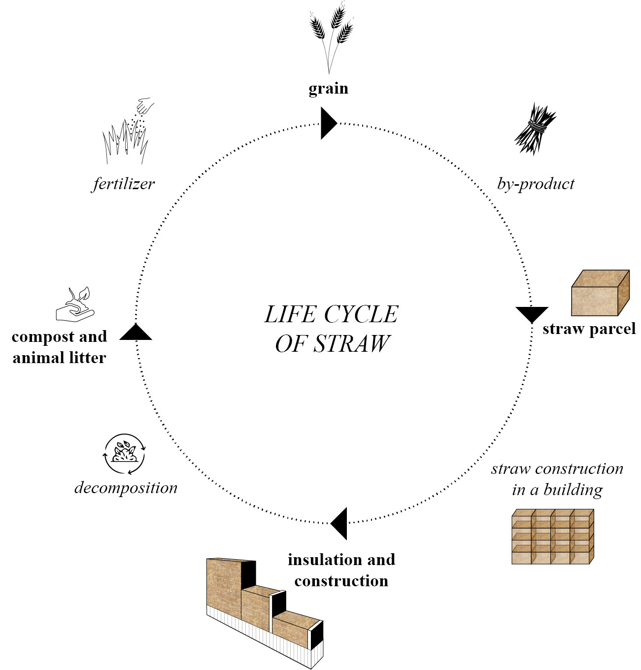 Diagram showing the life cycle of straw from grain harvest through construction to decomposition