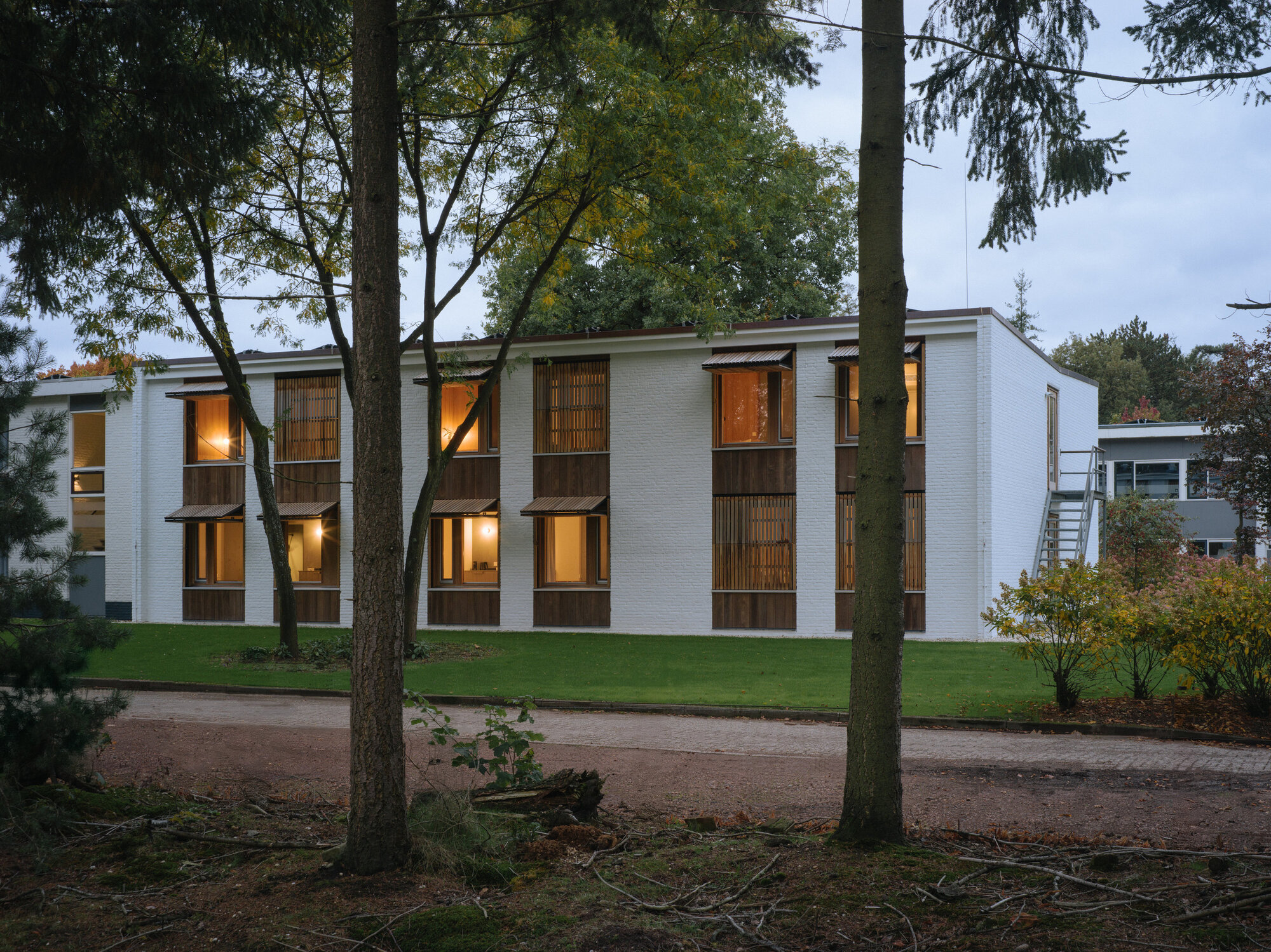 Building illuminated at dusk among pines with warm light glowing from timber-screened openings