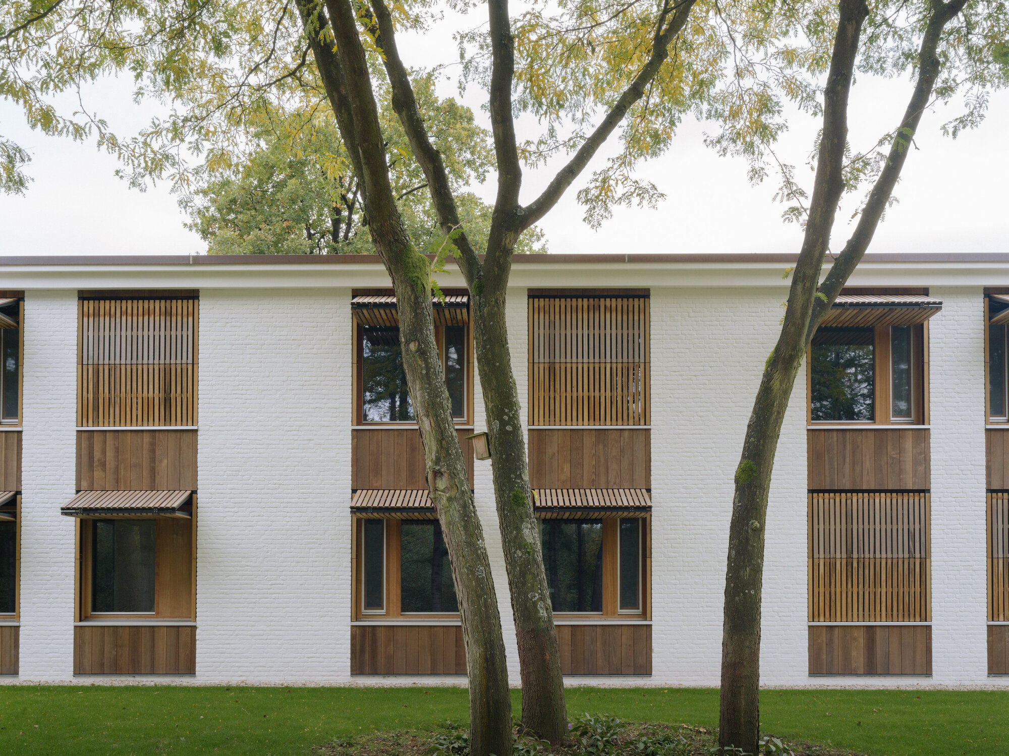 White brick facade with timber-clad balconies and vertical slat screens seen through bare tree trunks