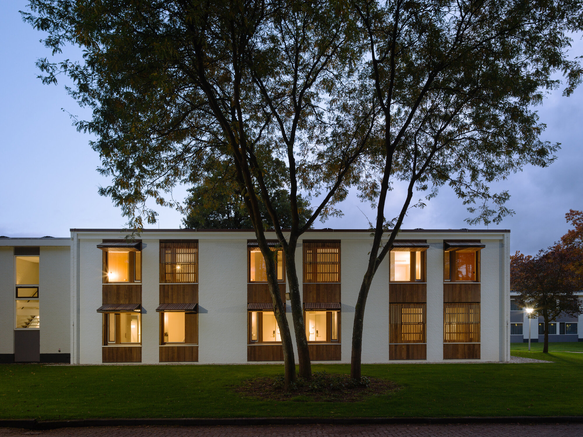 Two-storey facade with timber screens and illuminated windows viewed through backlit trees at twilight