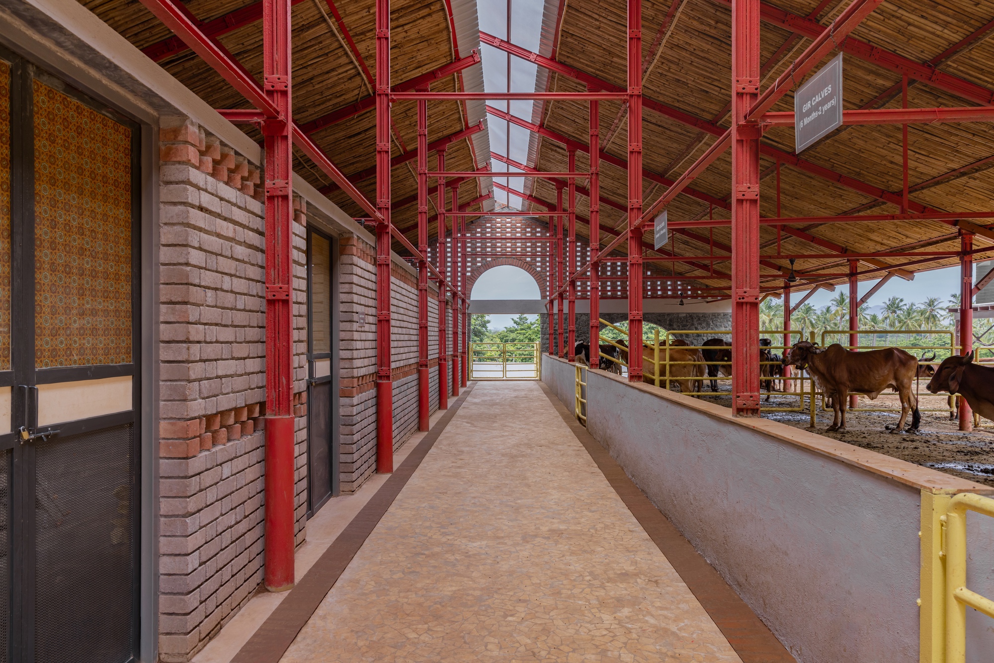 Interior corridor with red steel trusses, timber ceiling and cattle stalls along yellow railings