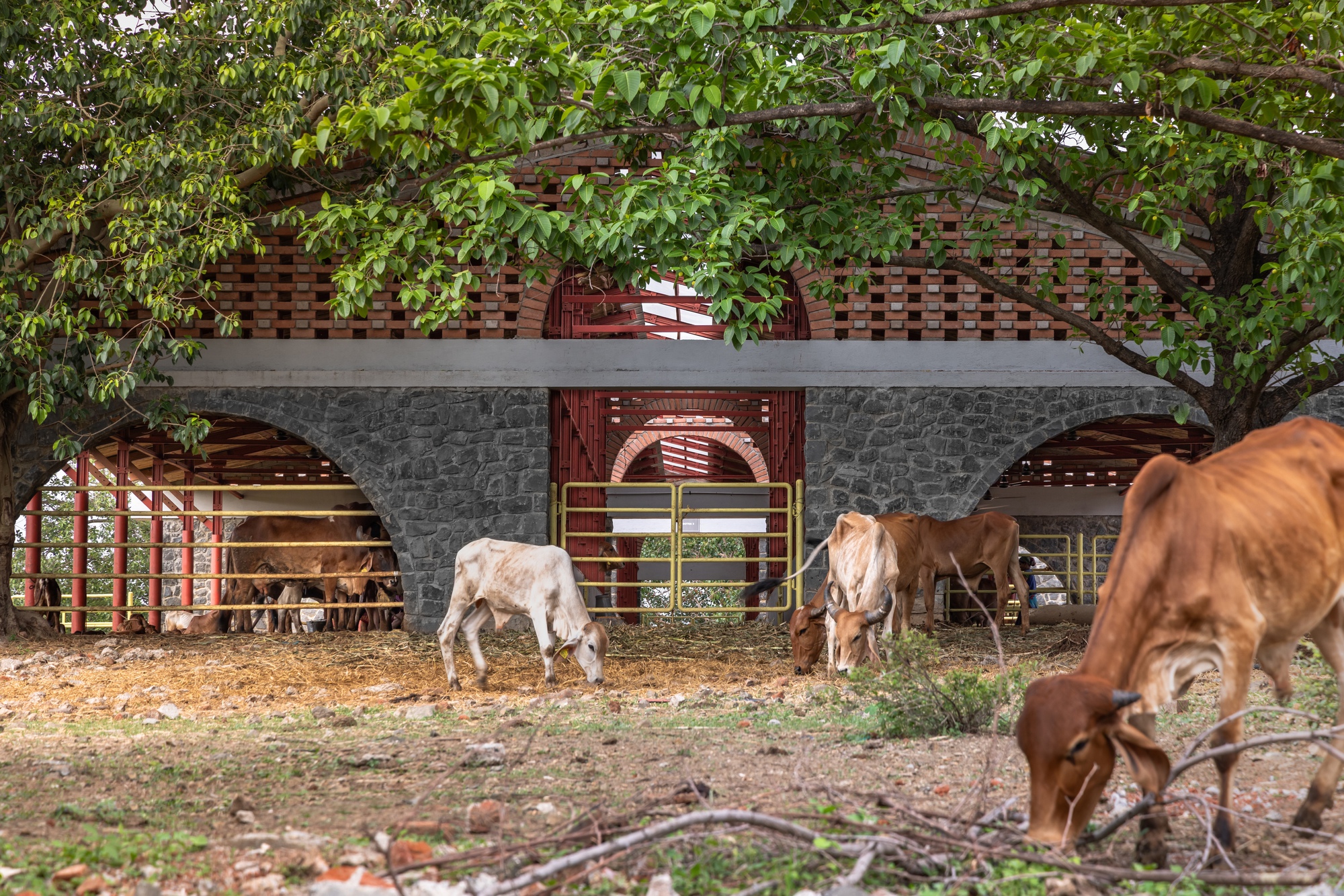 Exterior view of the arched stone and perforated brick facade with cattle grazing beneath overhanging trees