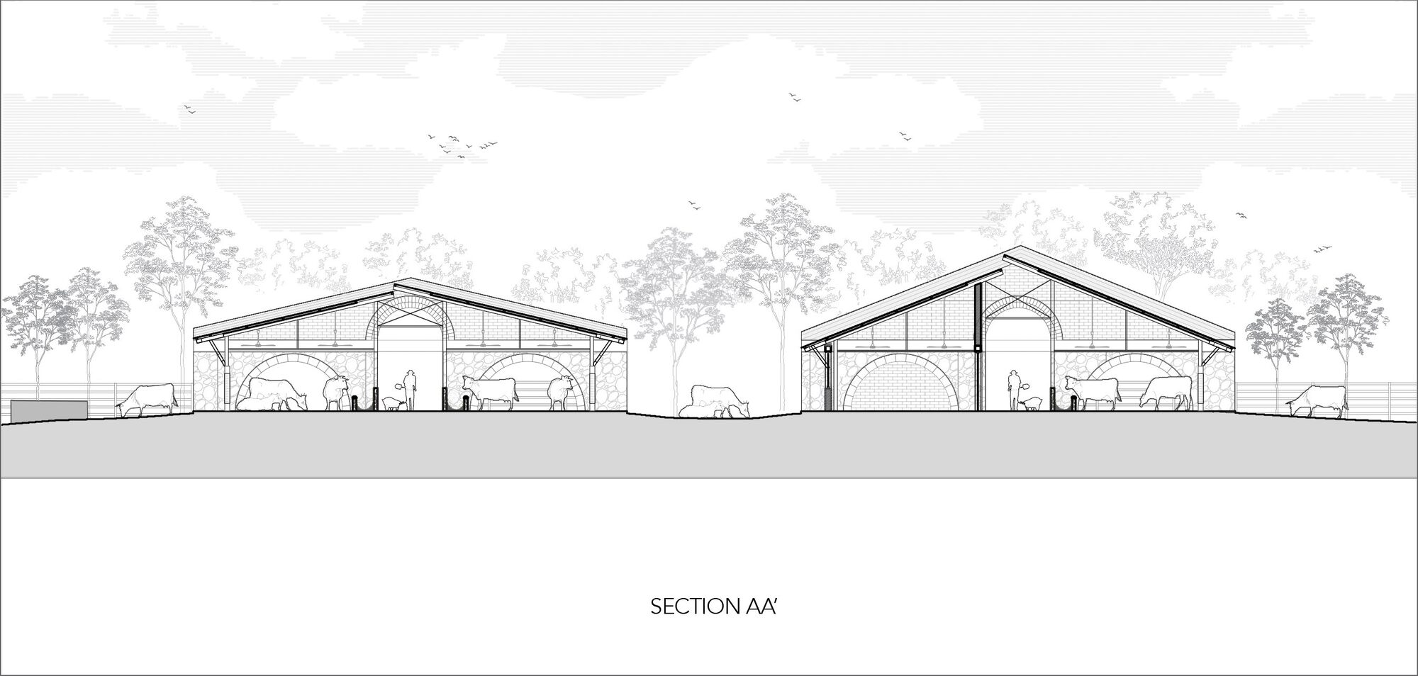 Section drawing showing two gabled barn structures with arched openings, cattle silhouettes, and trees in the background