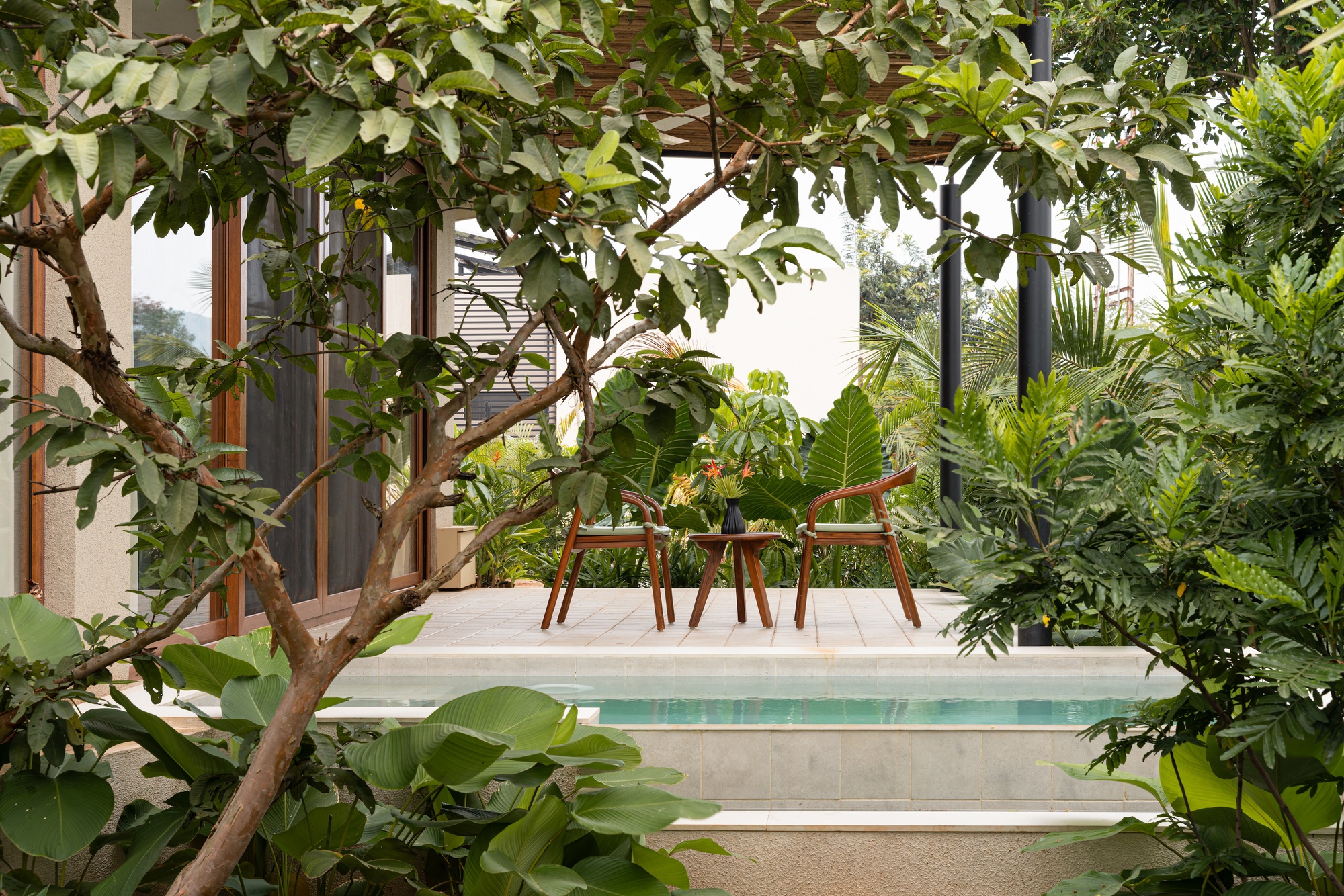 View through lush tropical plantings to a terrace with timber furniture and raised pool edge