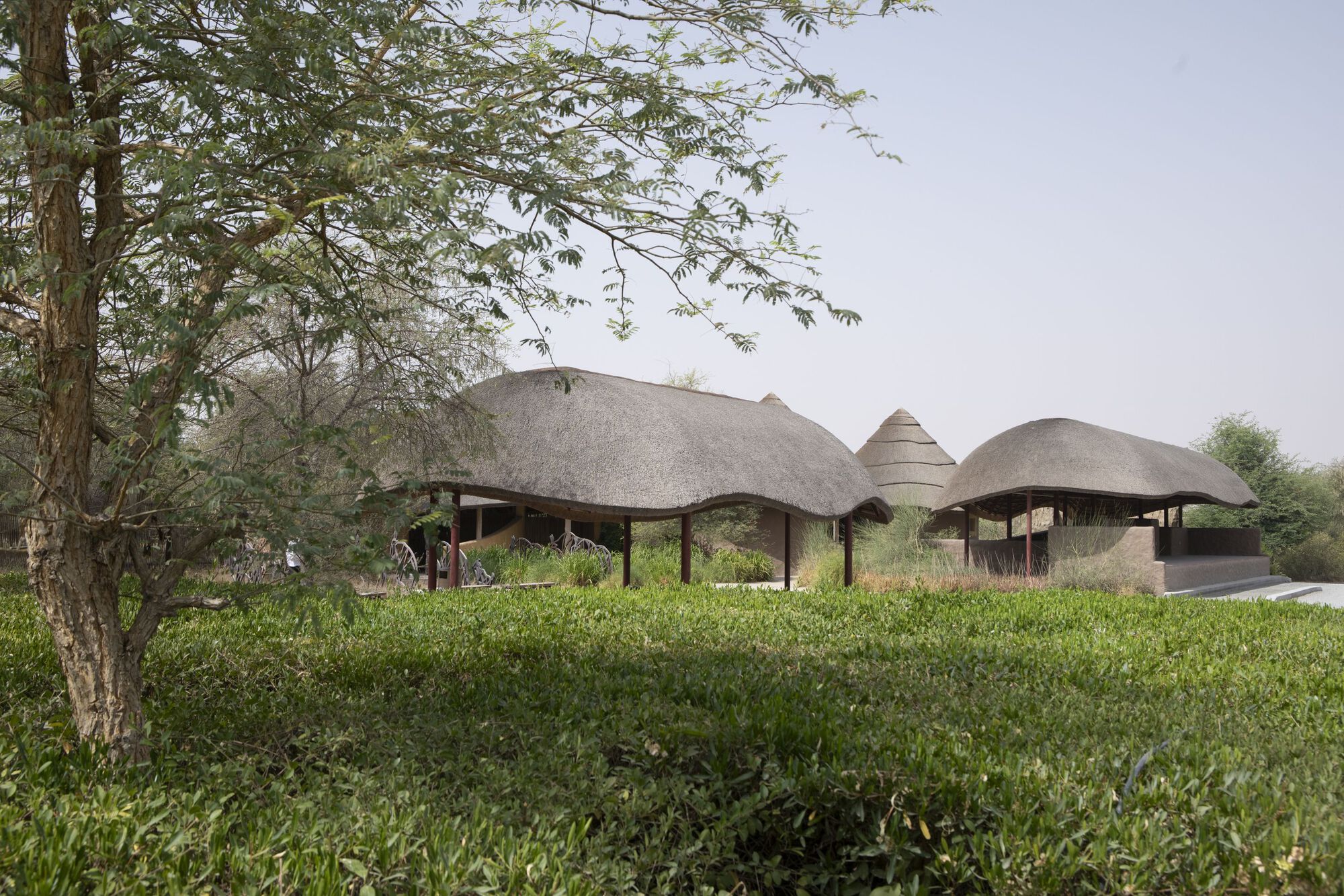 Multiple thatched roof volumes of varying heights nestled among trees and grassy vegetation
