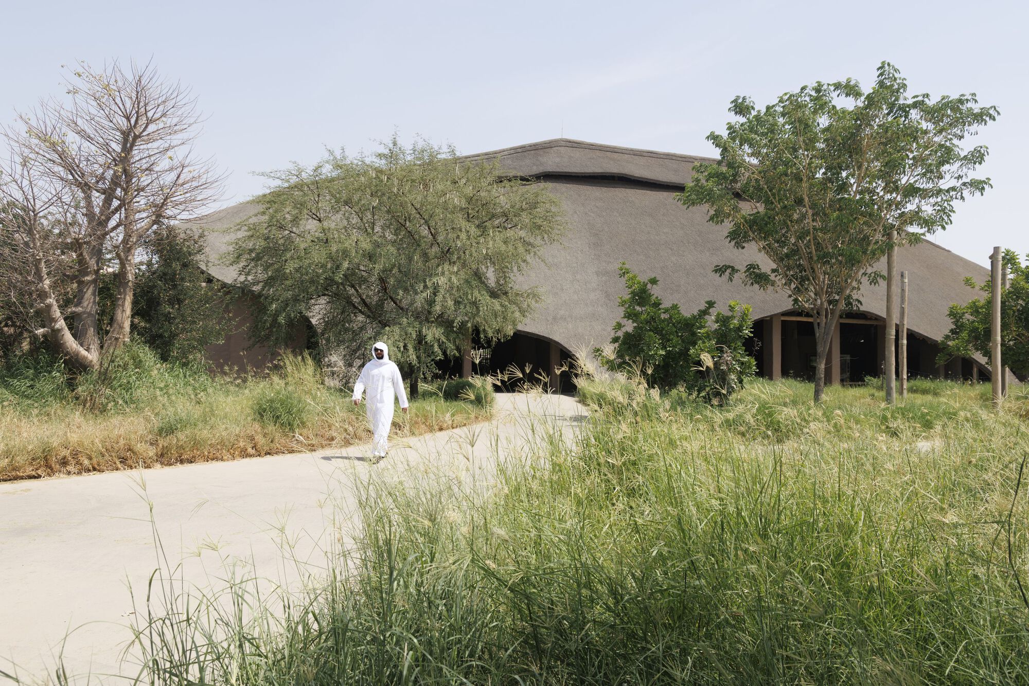 Curved thatched roof volume with open arched openings approached by a figure in white along a pathway
