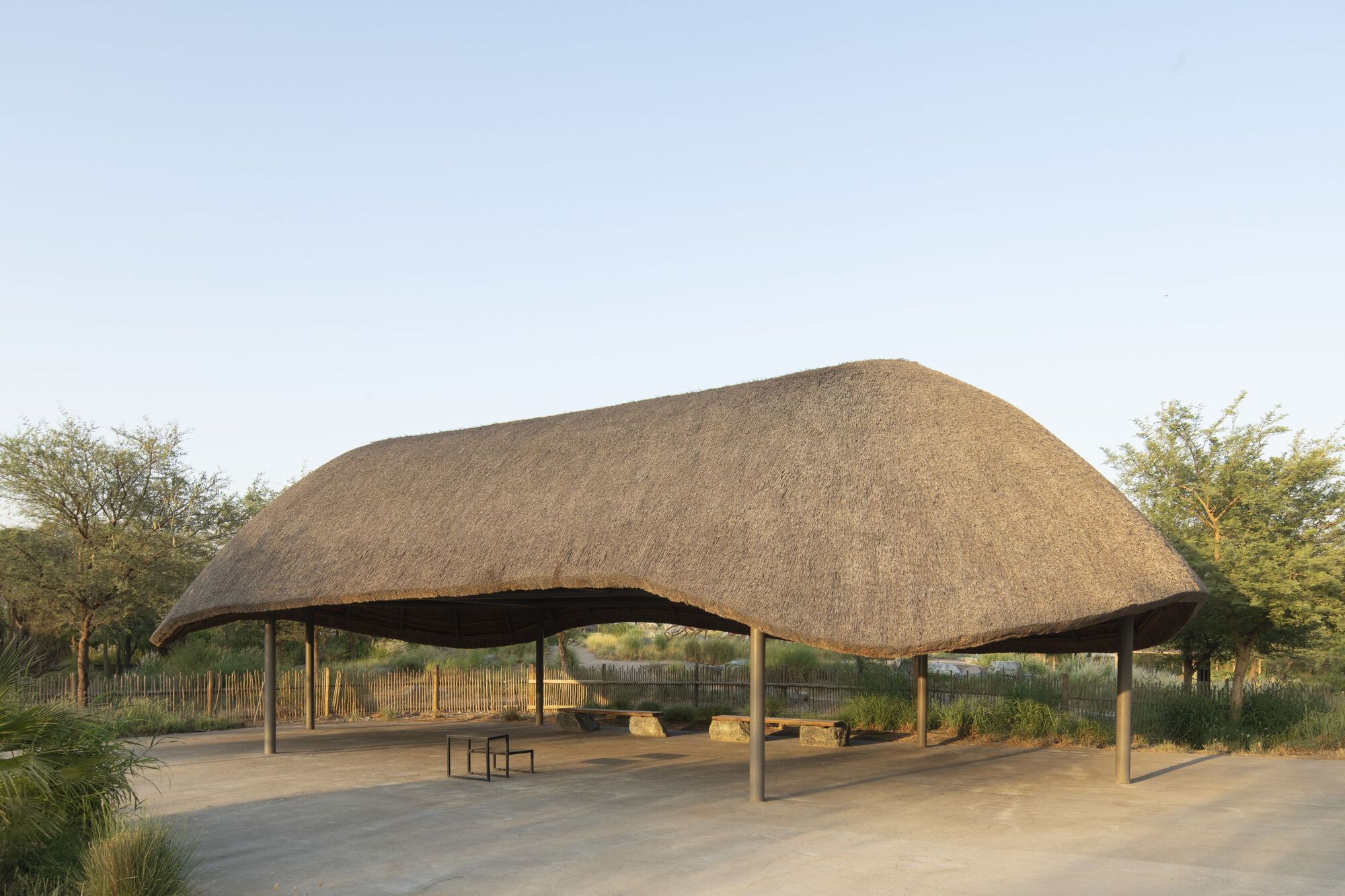 Open-air pavilion with sweeping thatched roof supported by timber columns in a savanna landscape
