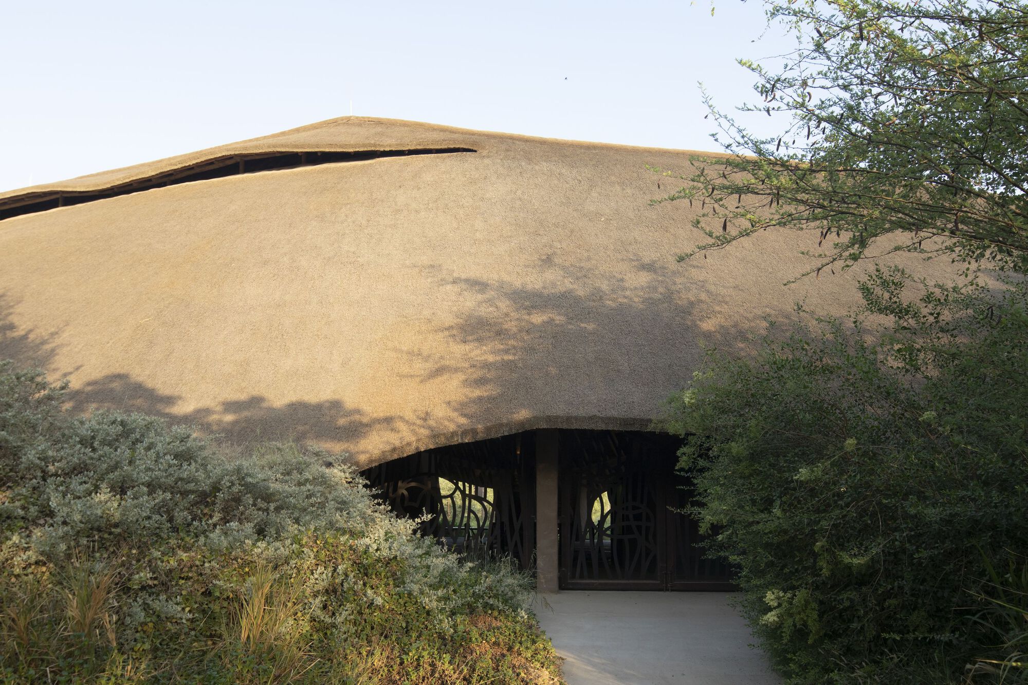 Curved thatched roof extending over an entrance pathway framed by indigenous vegetation