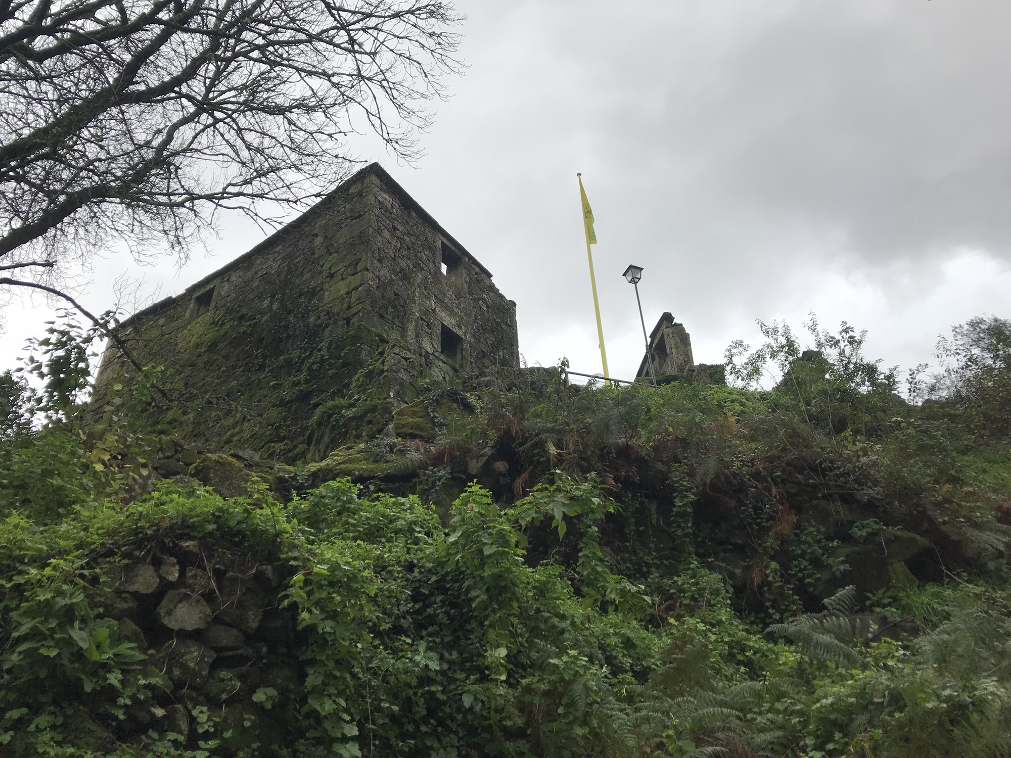 Moss-covered stone building perched on a rocky outcrop beneath a bare tree and overcast sky