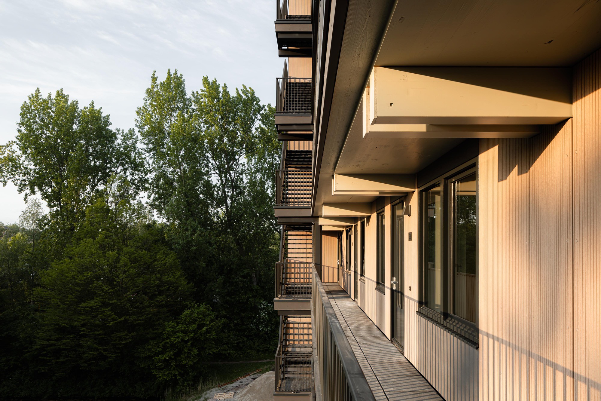 Recessed balcony corridor with concrete slabs and ribbed timber privacy screens overlooking green trees
