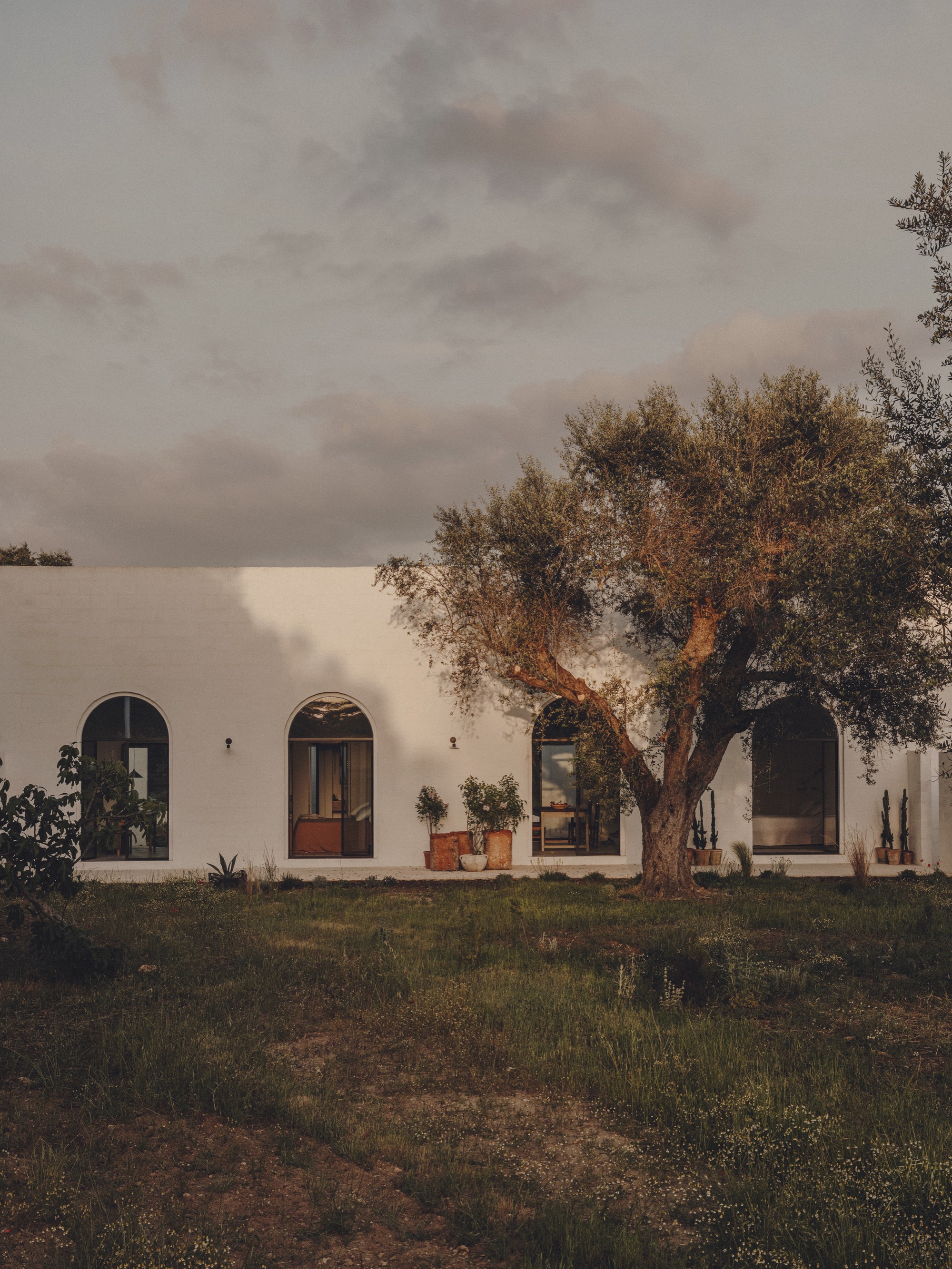 White stucco facade with arched openings and timber door beneath an olive tree at dusk