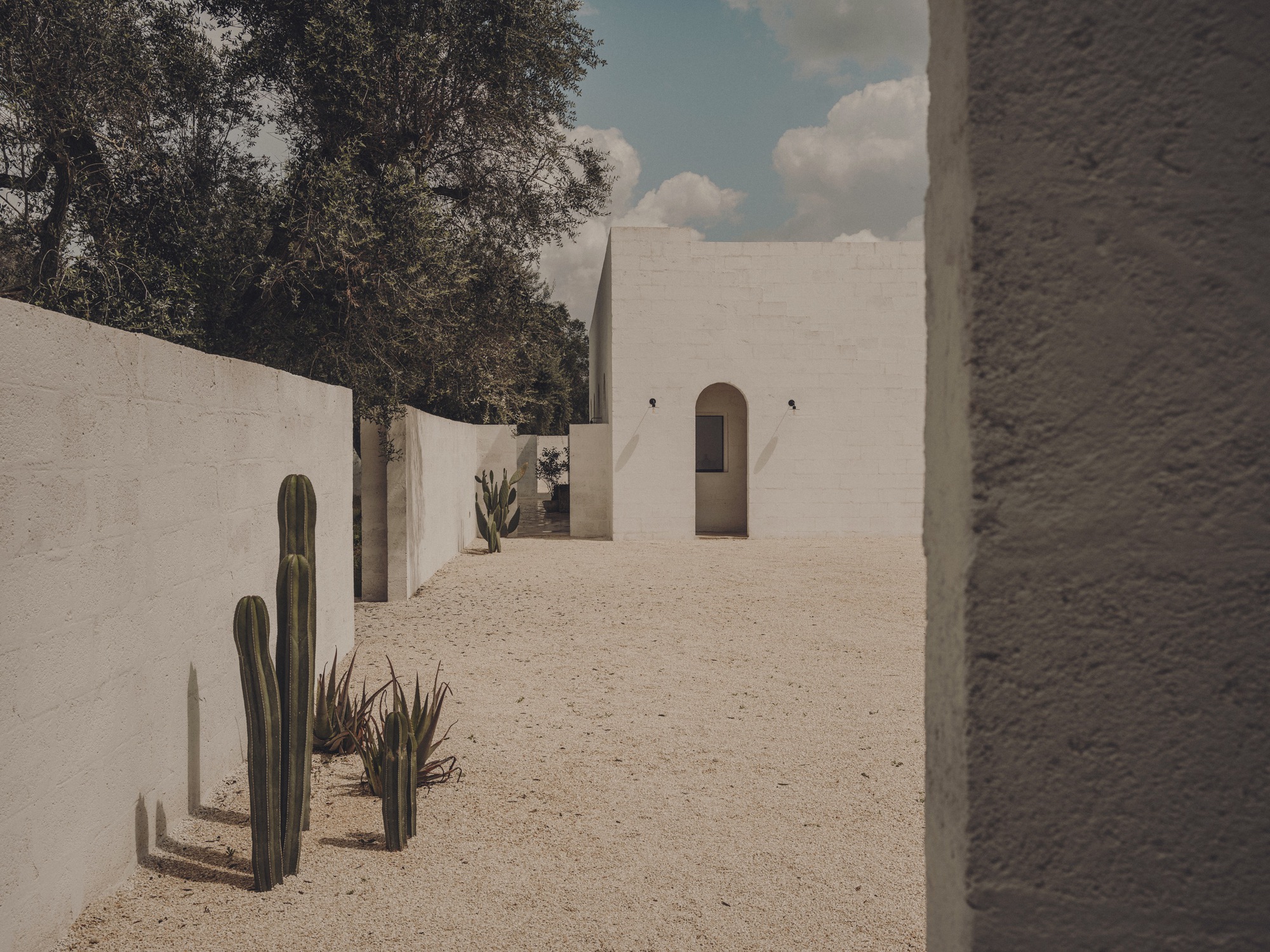 Gravel courtyard between white walls with potted cacti and arched passageway beyond