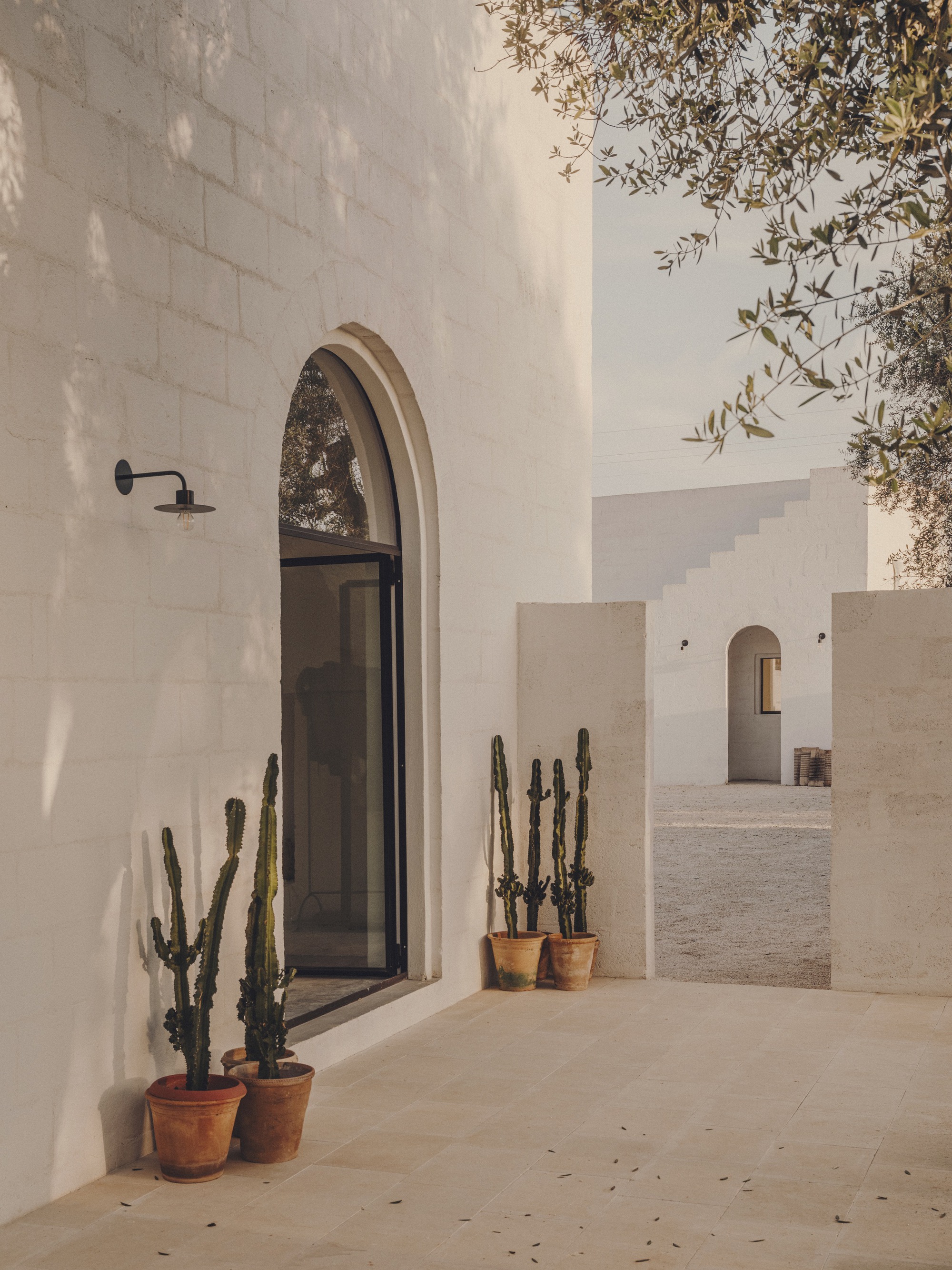 Arched doorway with glazing and terracotta pots of cacti beneath olive branches and dappled sunlight