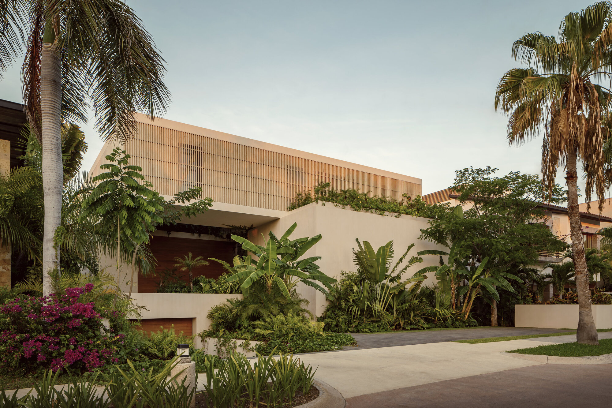 Street view of the slatted timber upper volume above a planted forecourt with palms and bougainvillea
