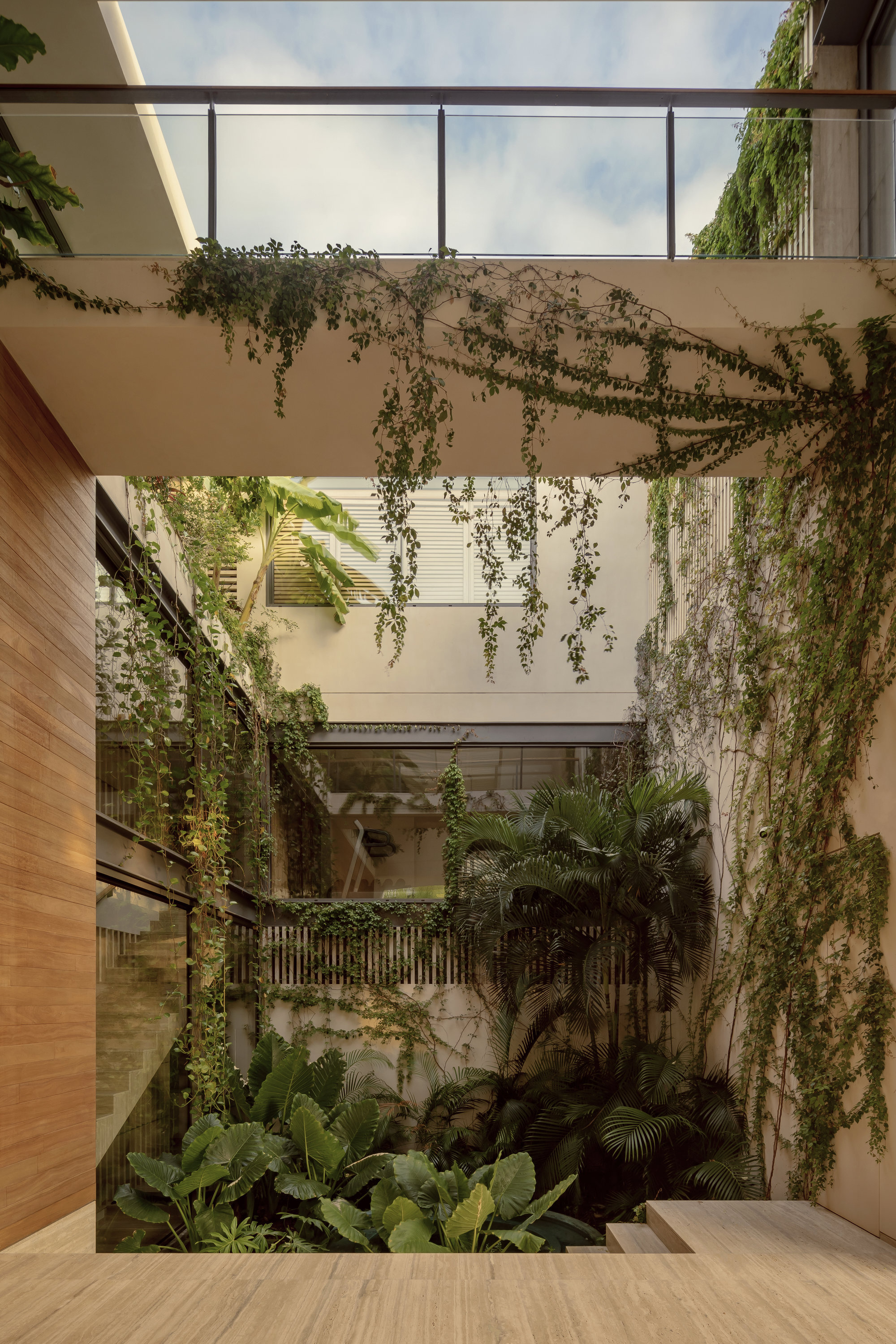 Open-air courtyard with cascading vines covering white walls and timber floor opening to tropical plantings