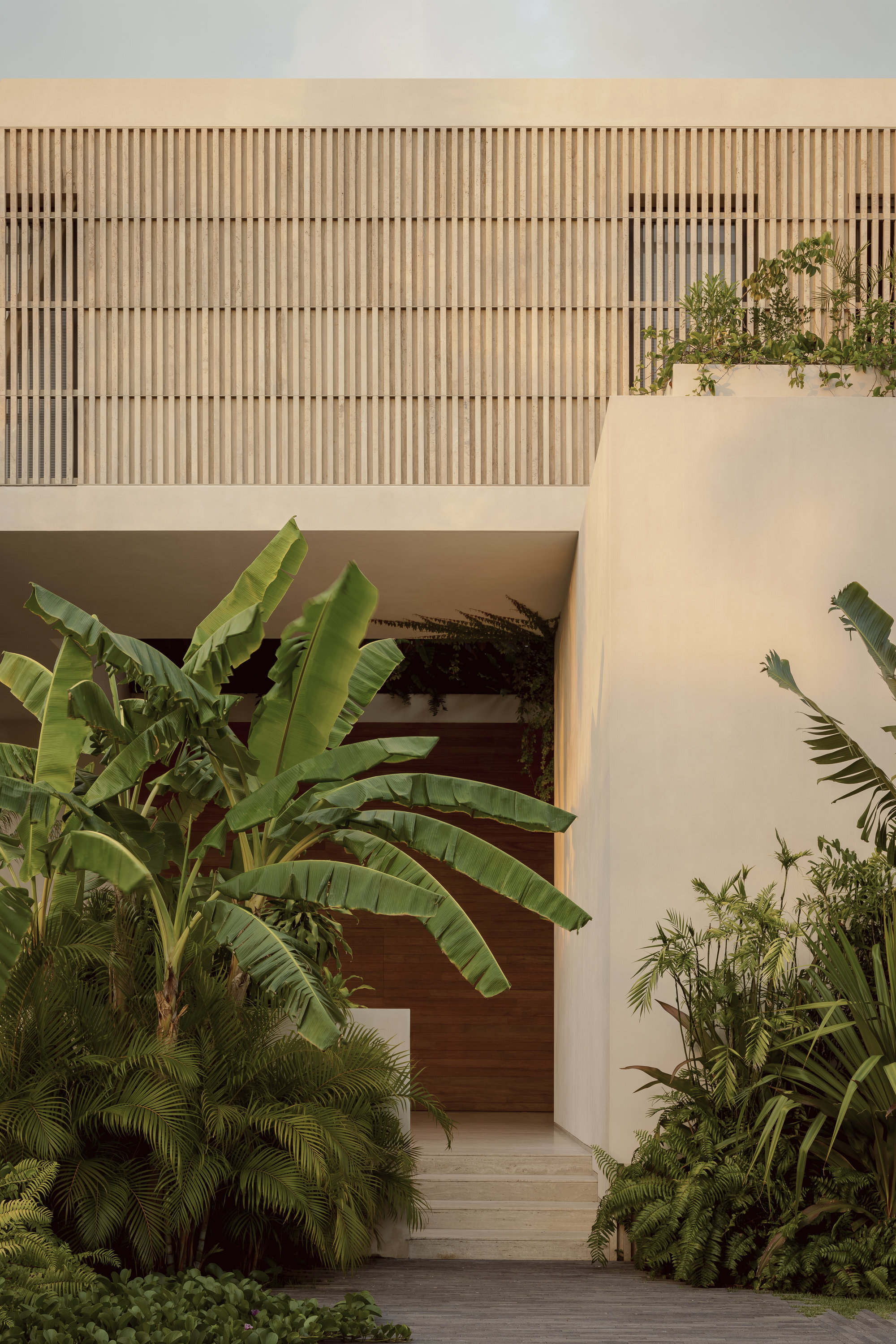 Entry courtyard with timber slatted screen above white stucco walls and tropical planting including banana leaves