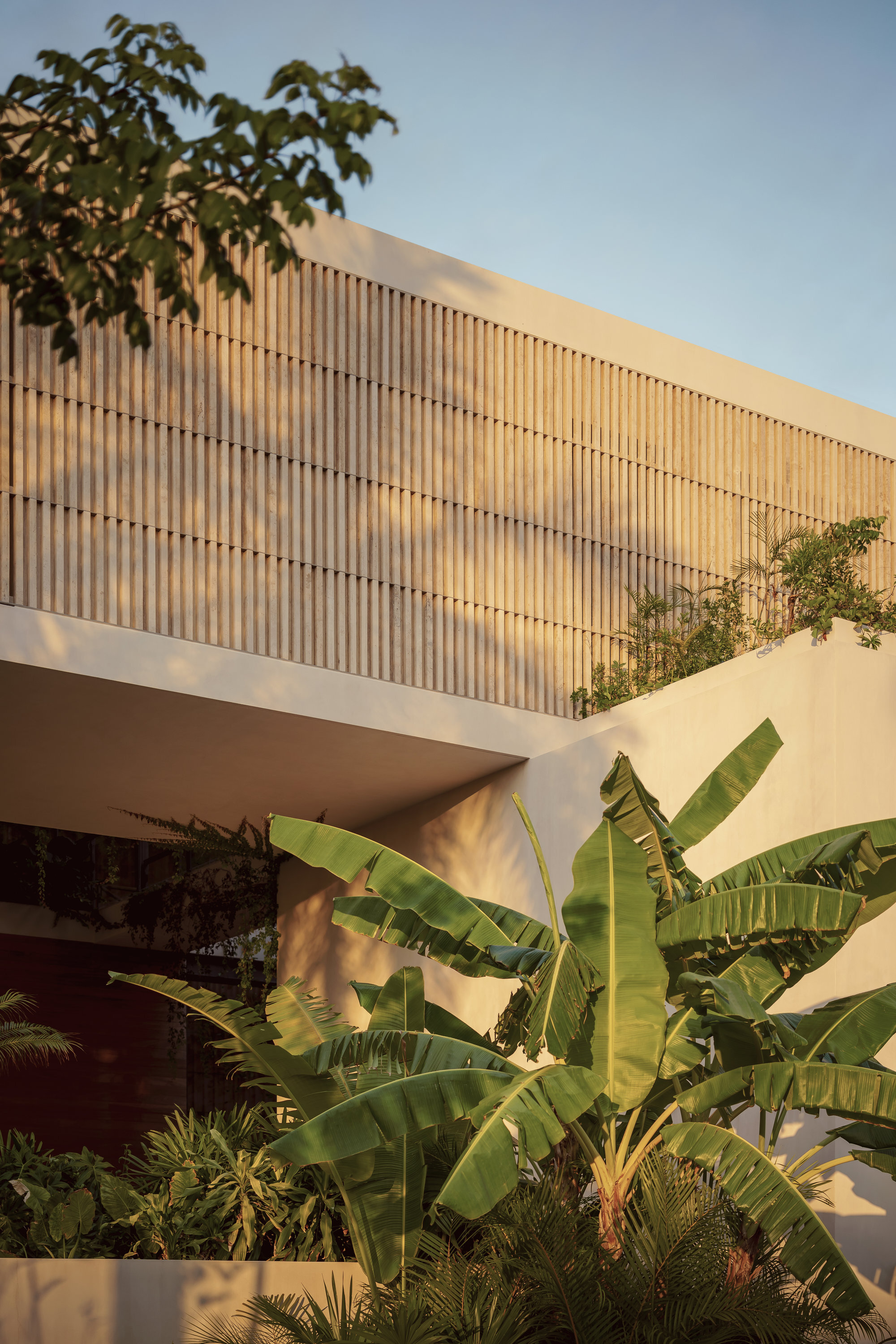 Upper level timber screen facade catching evening light with banana plants and foliage below
