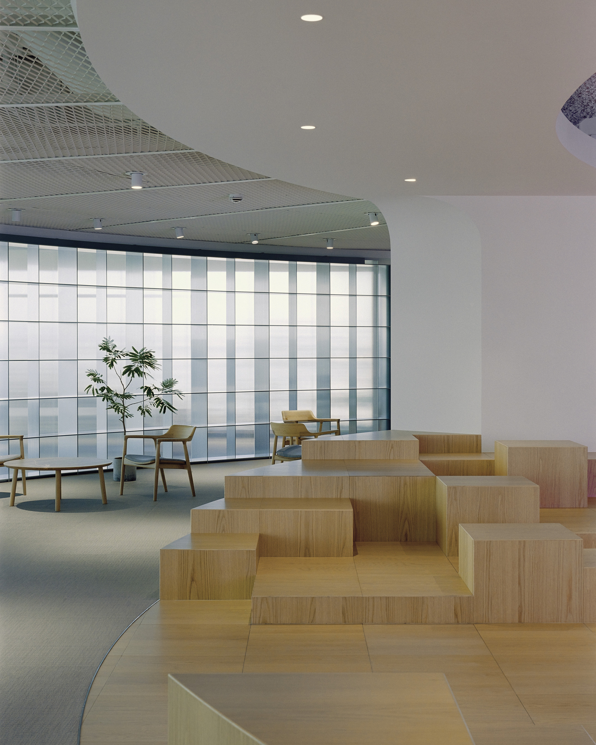 Stepped timber seating platforms beside a translucent glass curtain wall with potted greenery