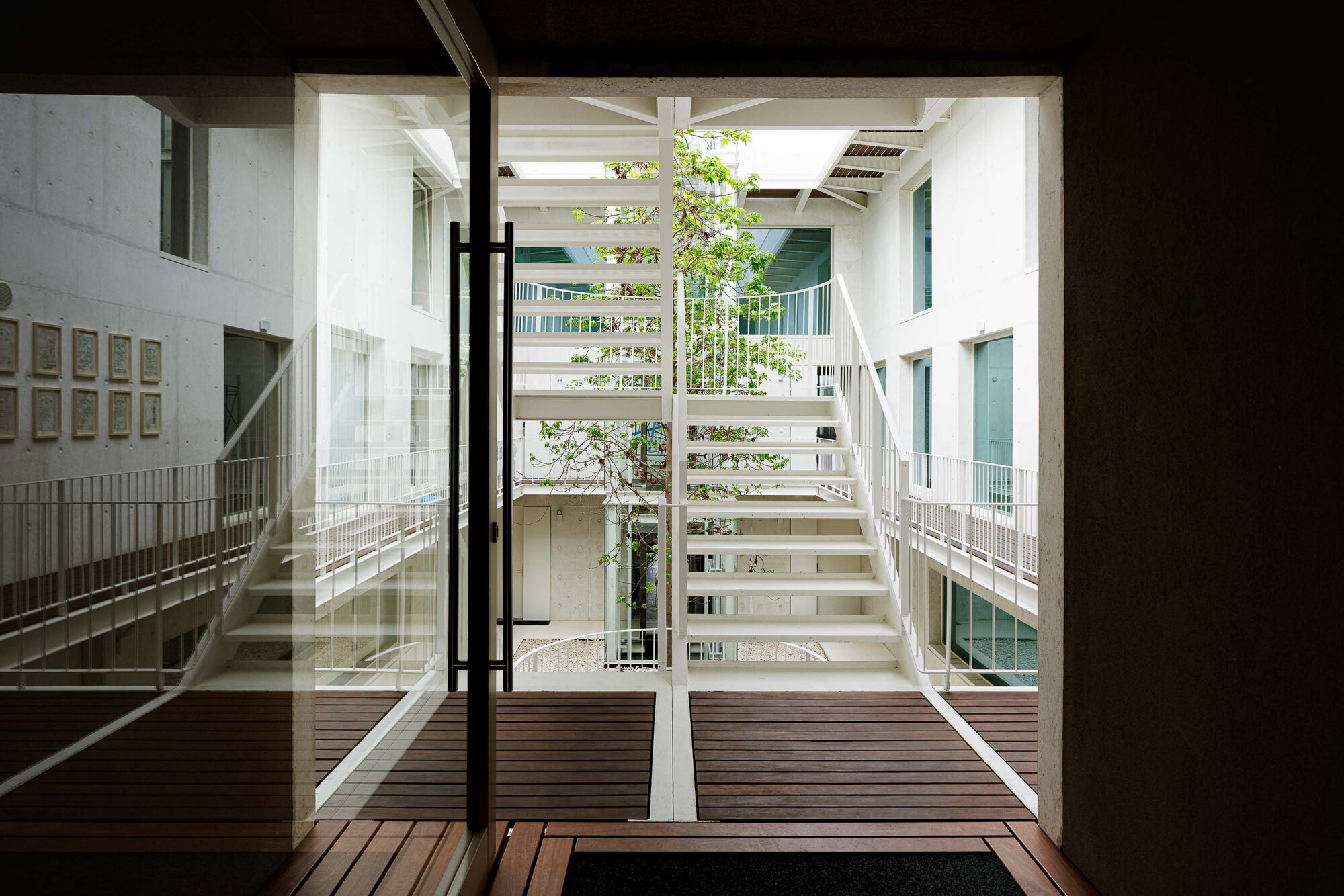 Timber deck terrace overlooking central courtyard with white steel stairs and tree canopy under skylights