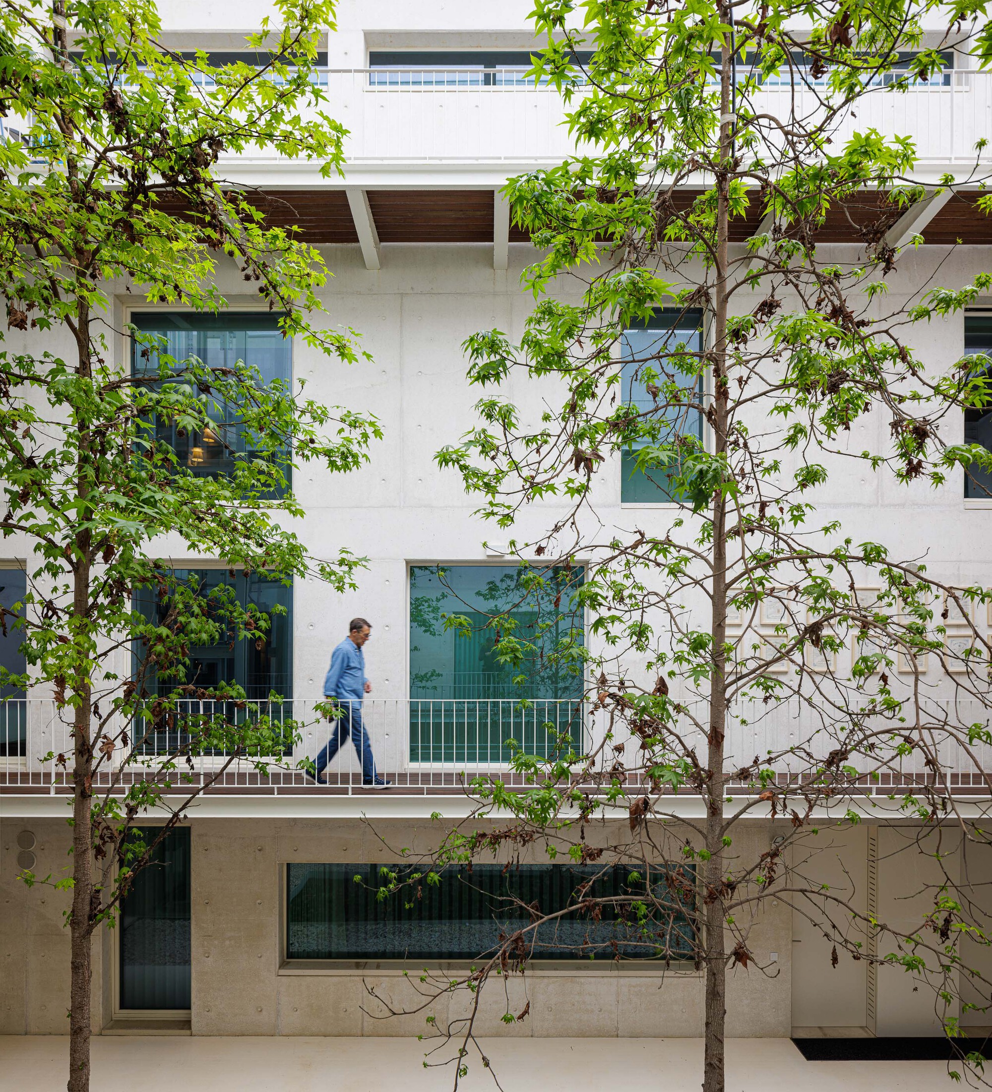 Courtyard facade with gridded glazing and balcony walkway framed by young deciduous trees