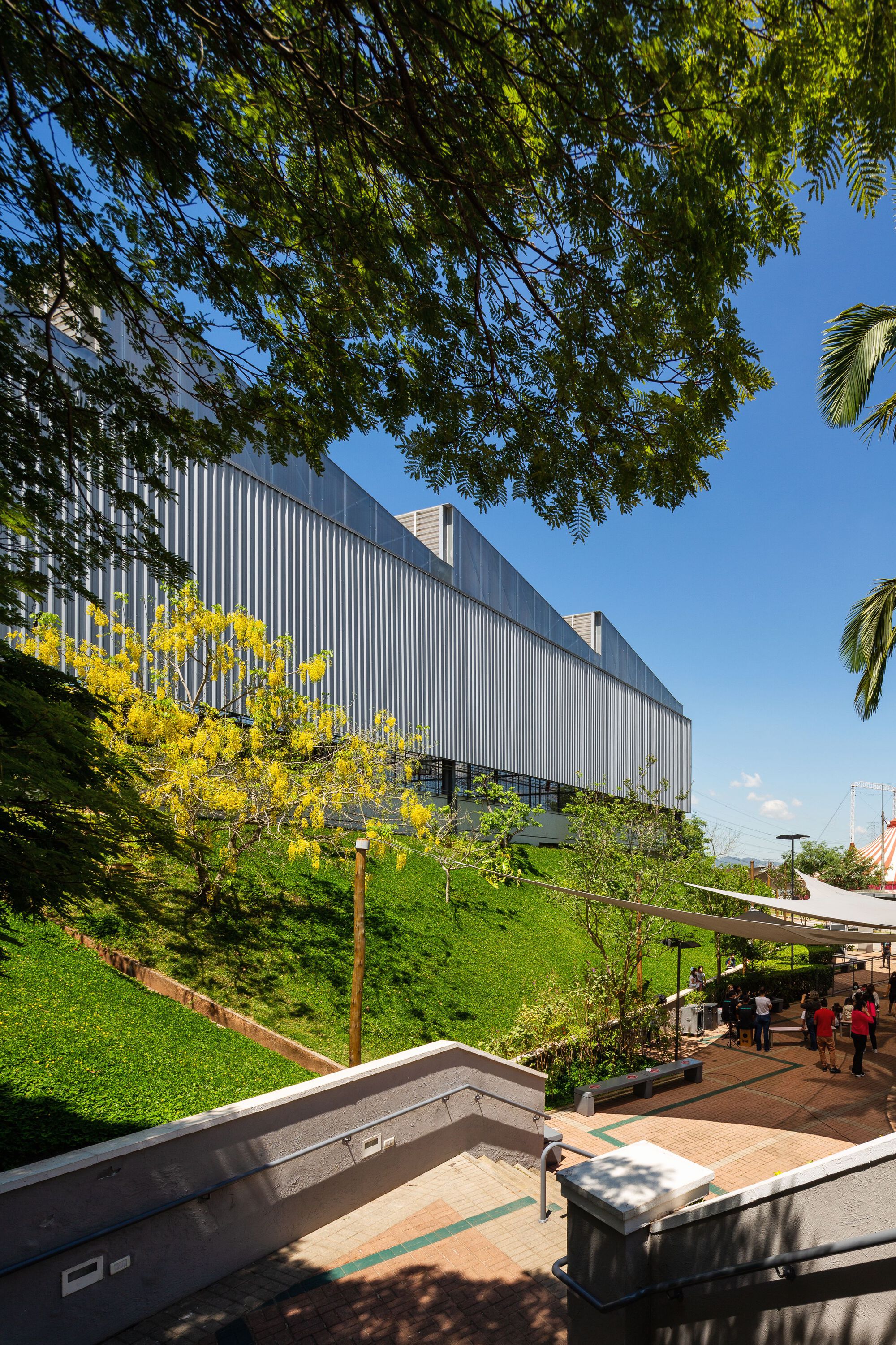 Planted slope with flowering trees below corrugated metal facade framed by overhanging foliage