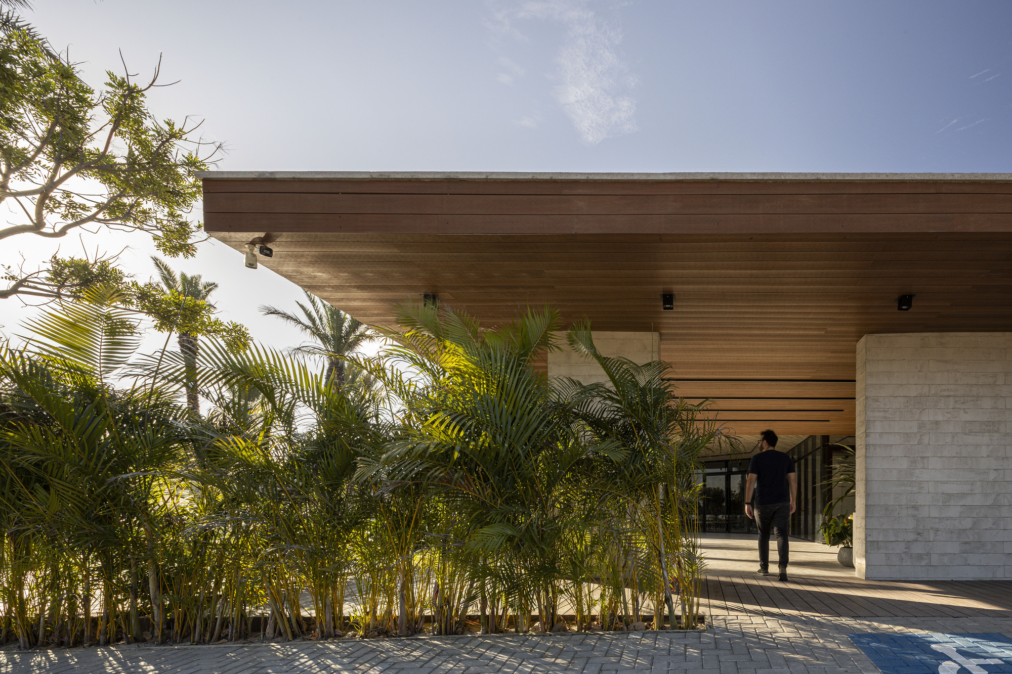 Entry approach with limestone wall and timber soffit framed by planted palms in sunlight