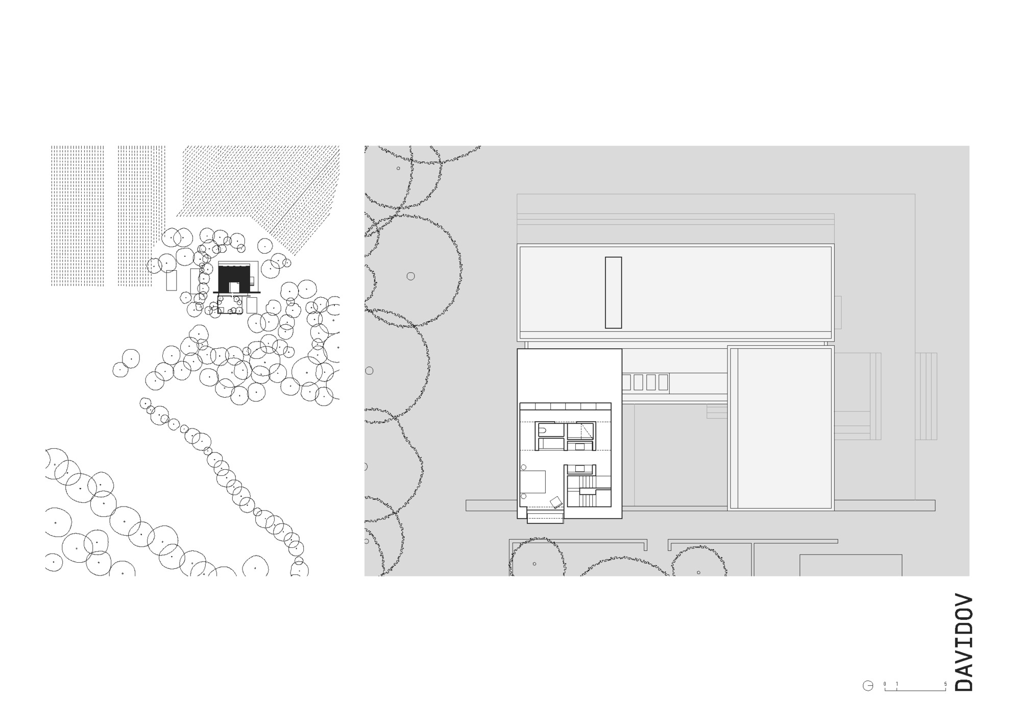 Section drawing showing two-story volume with split levels and adjacent site plan with trees