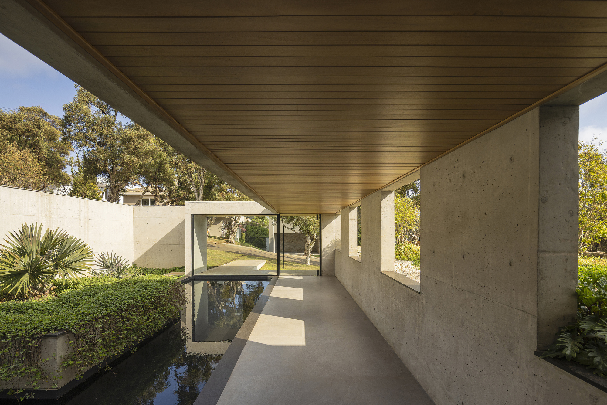 Covered concrete walkway with timber ceiling and reflecting pool flanked by planted beds