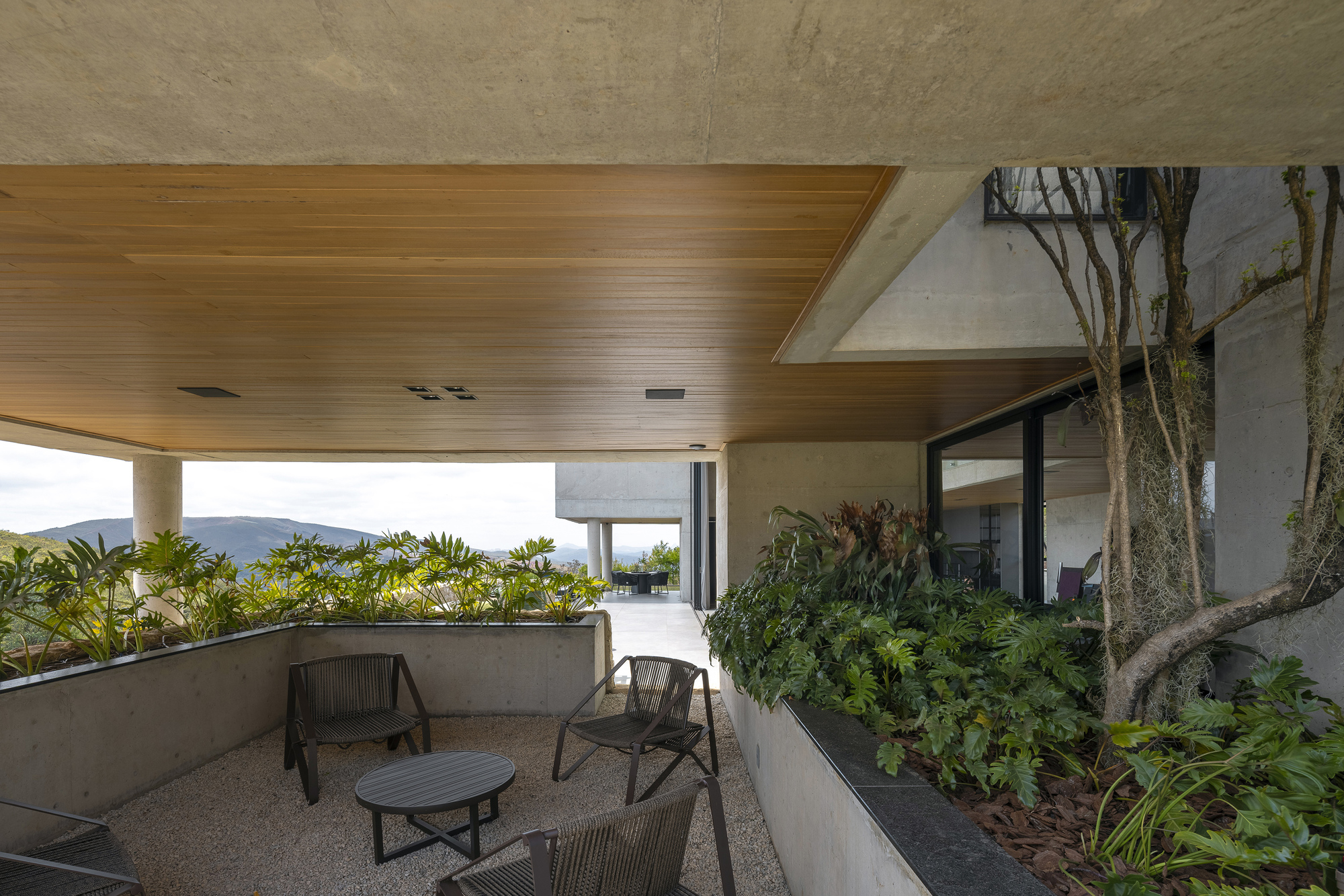 Covered terrace with planted bed, tree trunk, and timber ceiling opening to distant hills