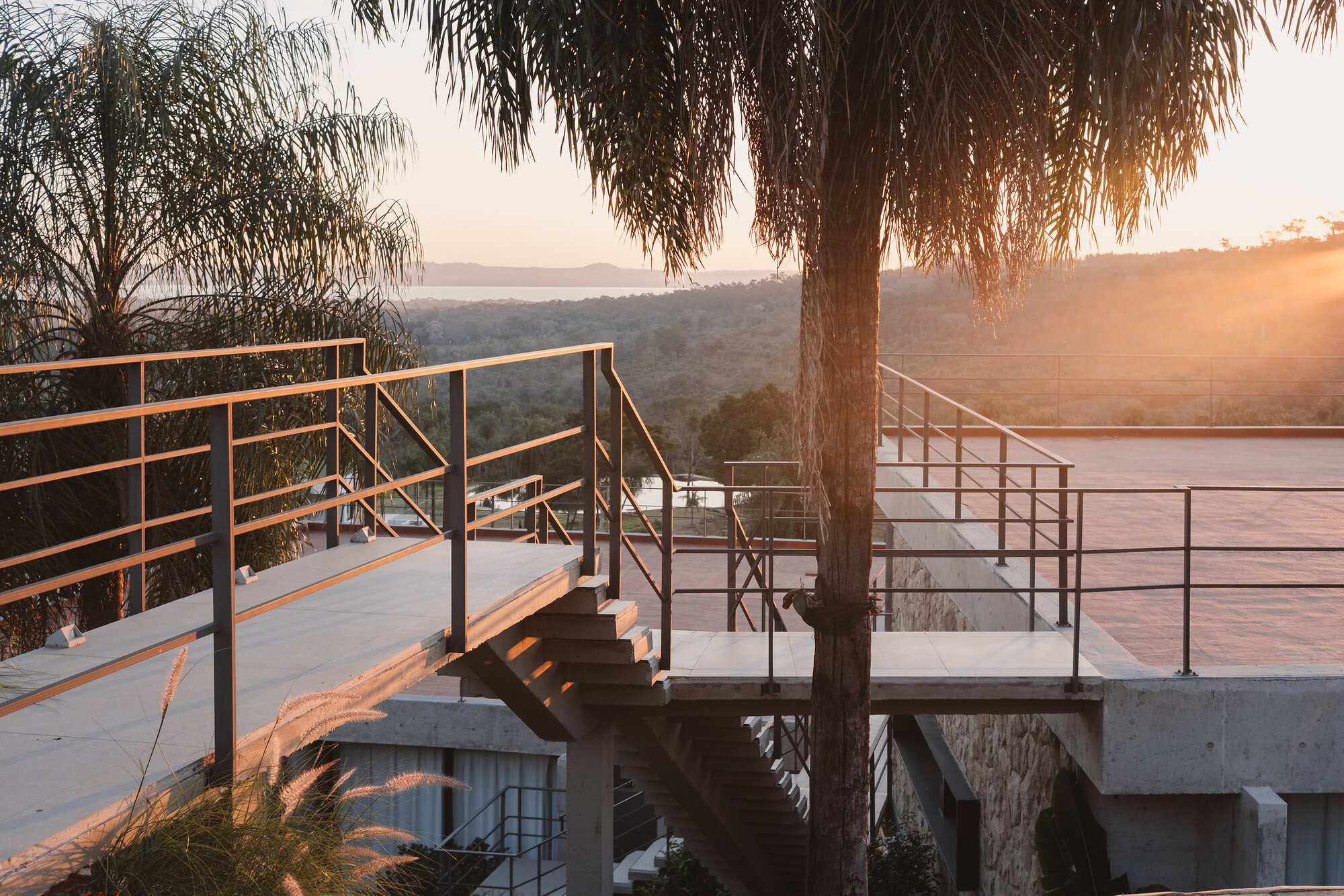 Concrete terrace with metal railings and exterior staircase framed by a palm tree at sunset