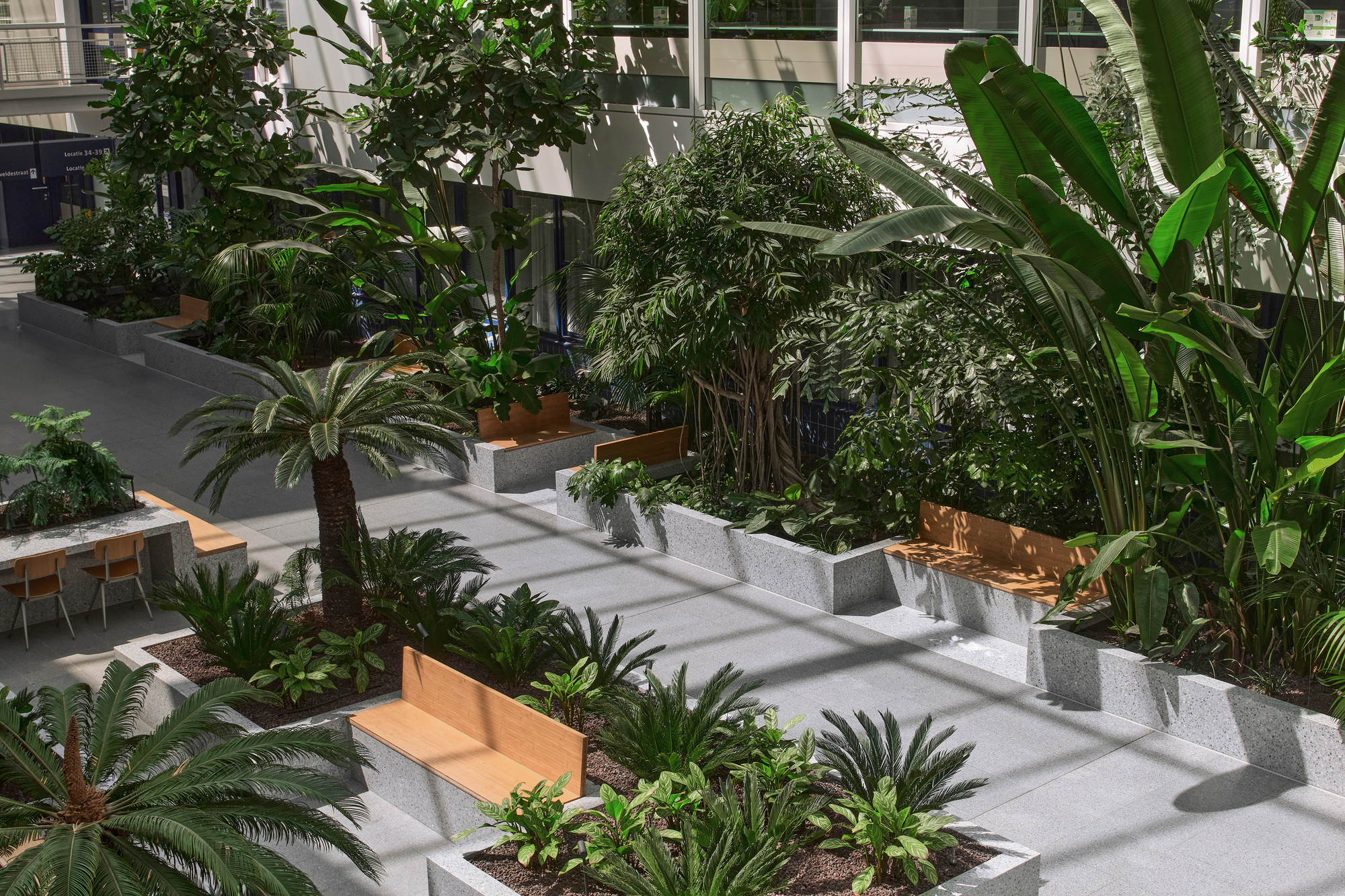 Terraced planting beds with timber benches and tropical plants casting dappled shadows on the floor