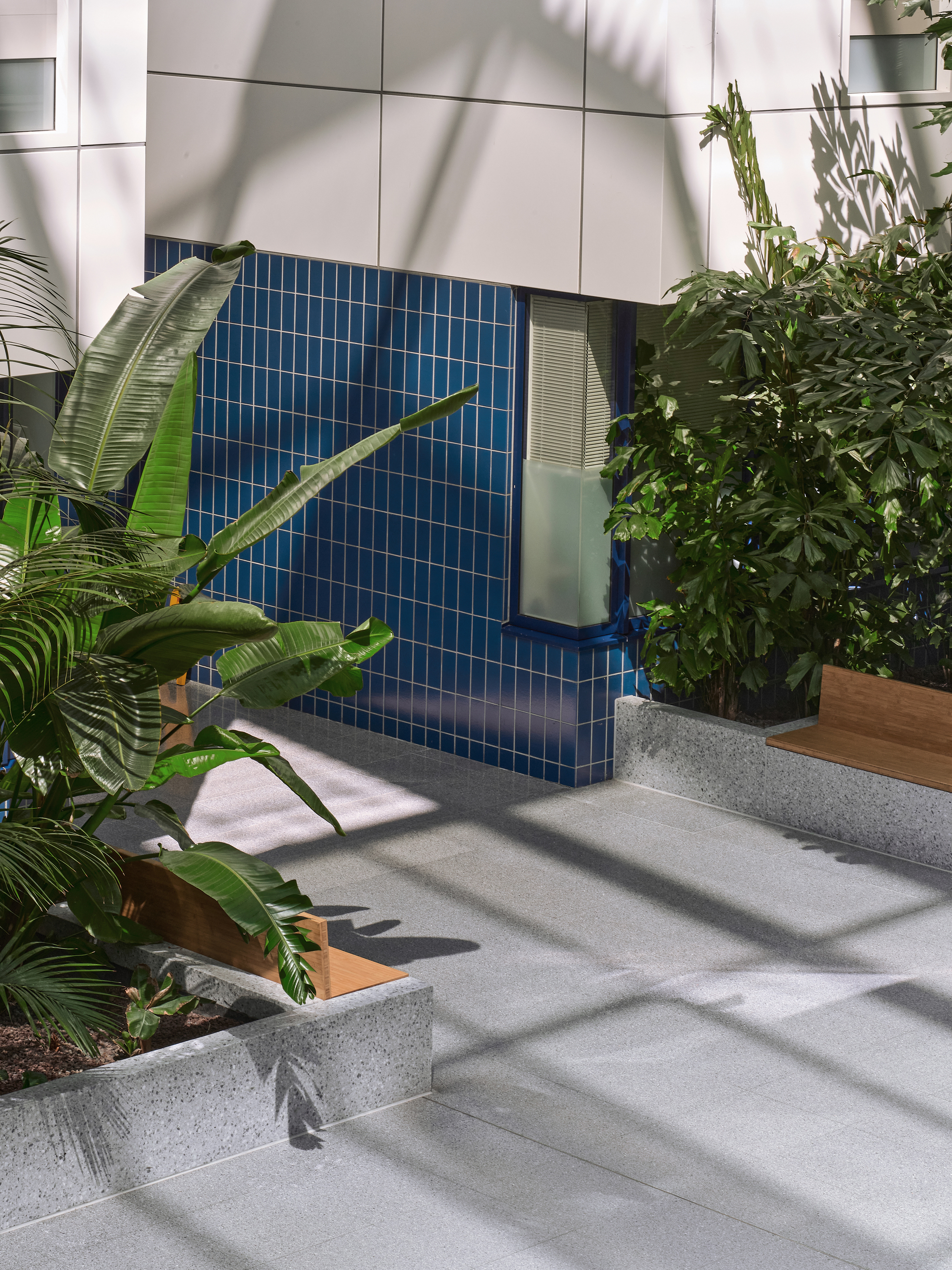 Blue mosaic tile facade panel with operable window surrounded by palms and plant shadows