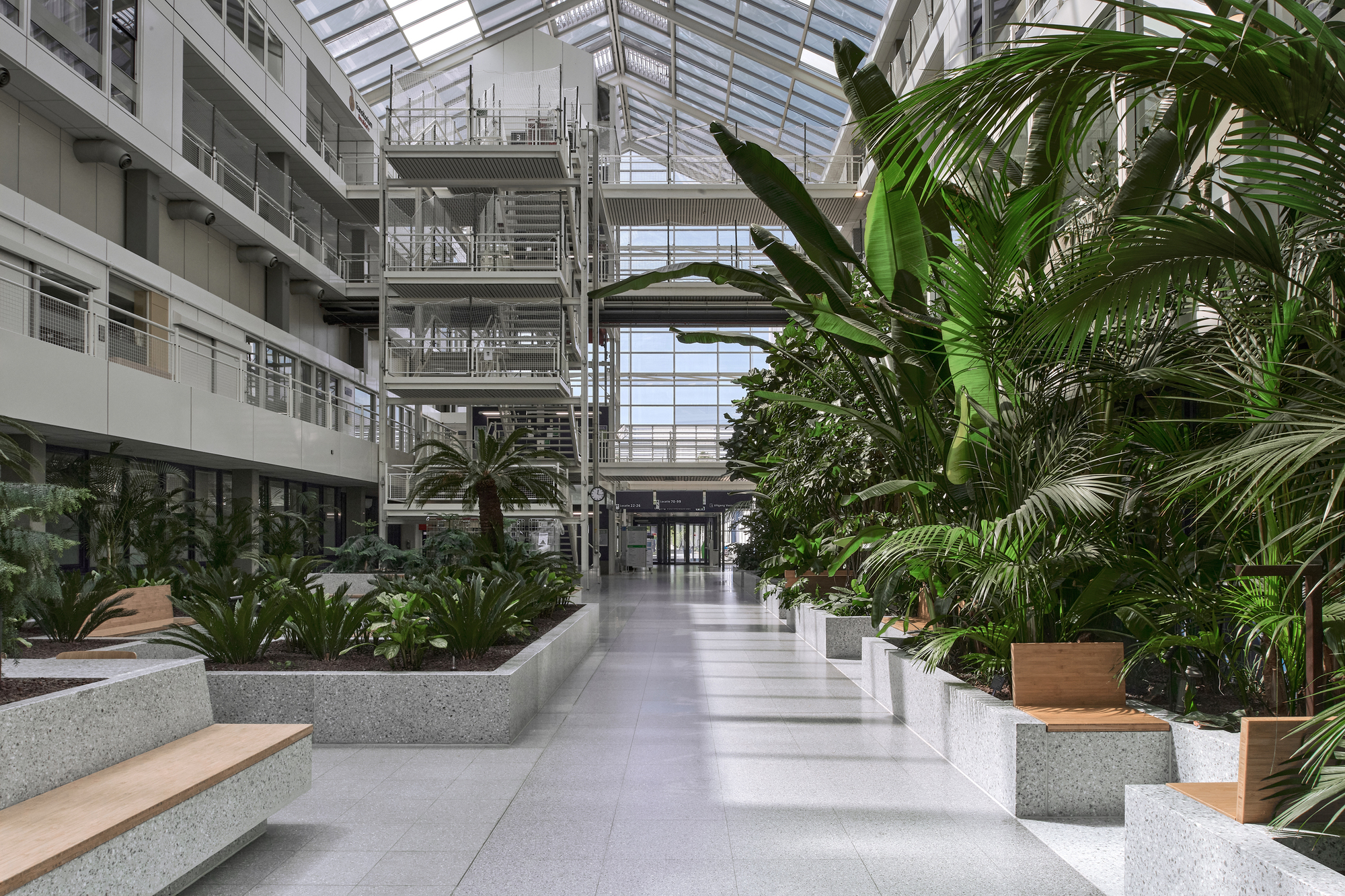 Interior atrium corridor with concrete benches, planted palms and glazed roof overhead