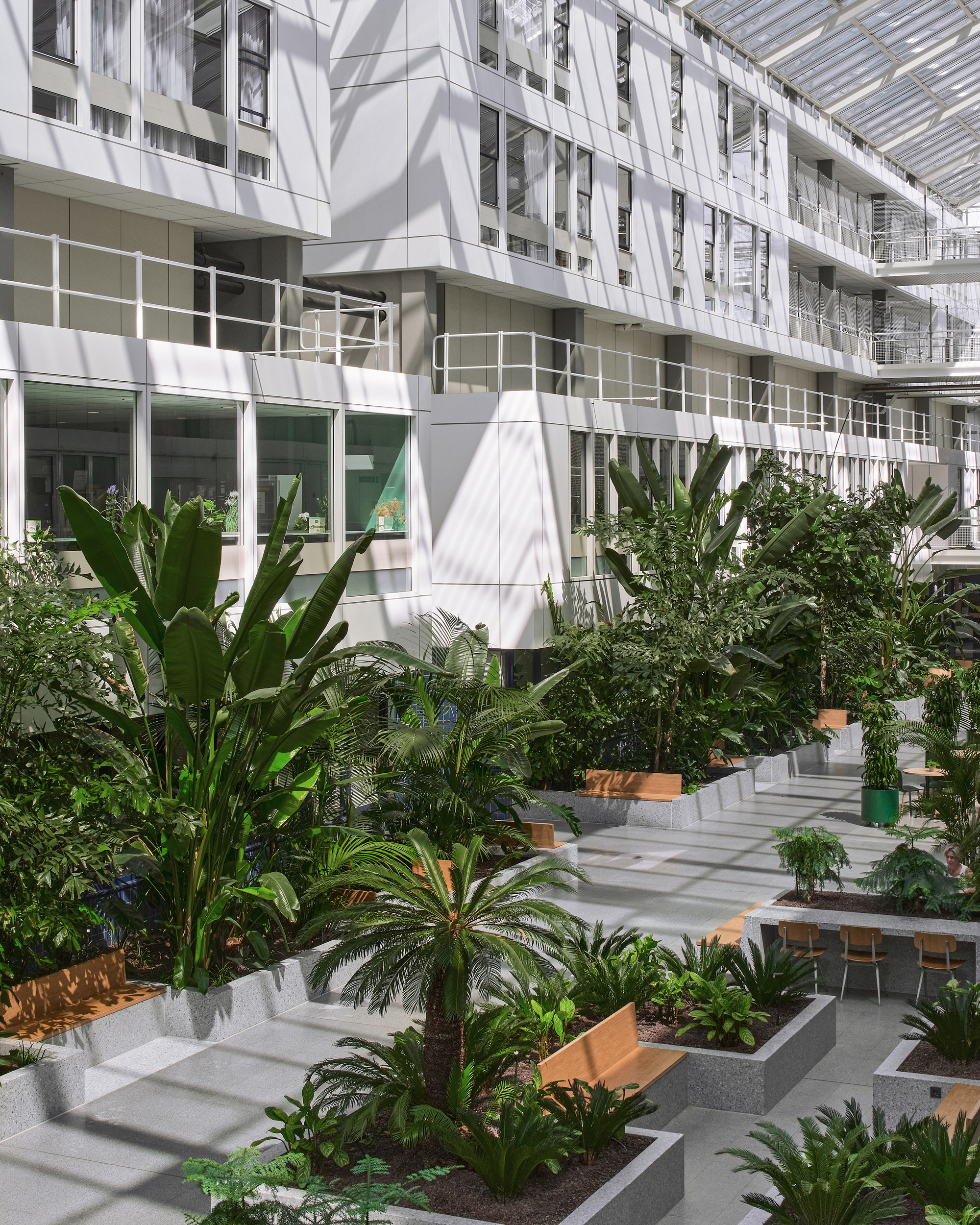 White facade balconies with shadows cast across planted beds of palms and tropical foliage