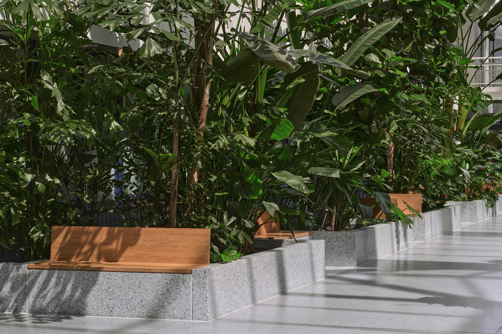 Terrazzo planter with timber coping and tropical foliage beneath dappled sunlight
