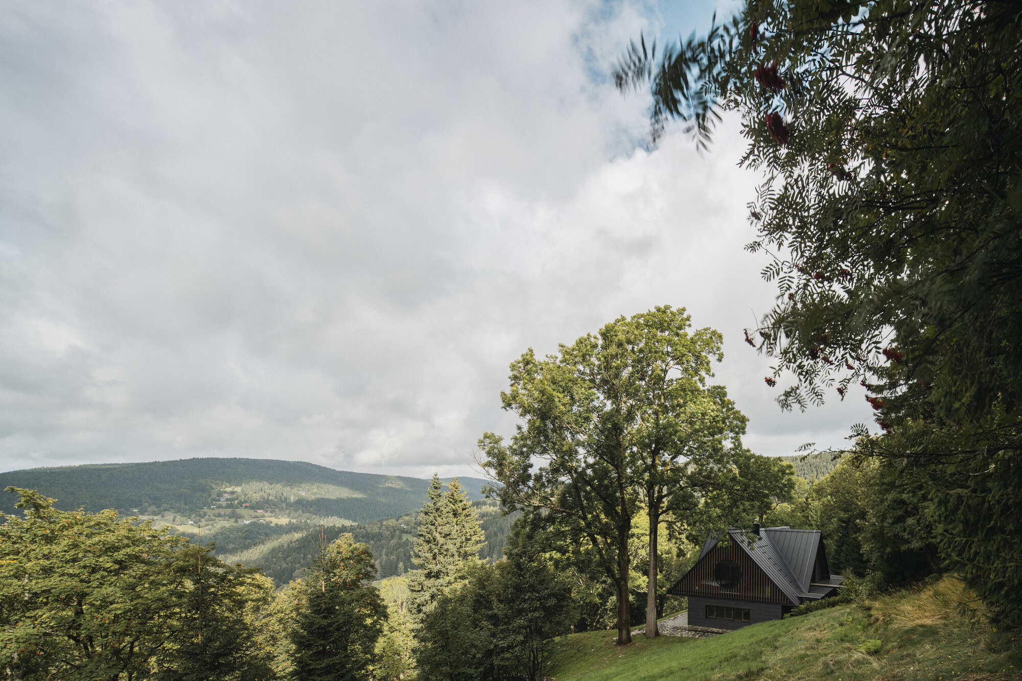 Distant view of the dark timber cabin on a hillside framed by trees under an overcast sky