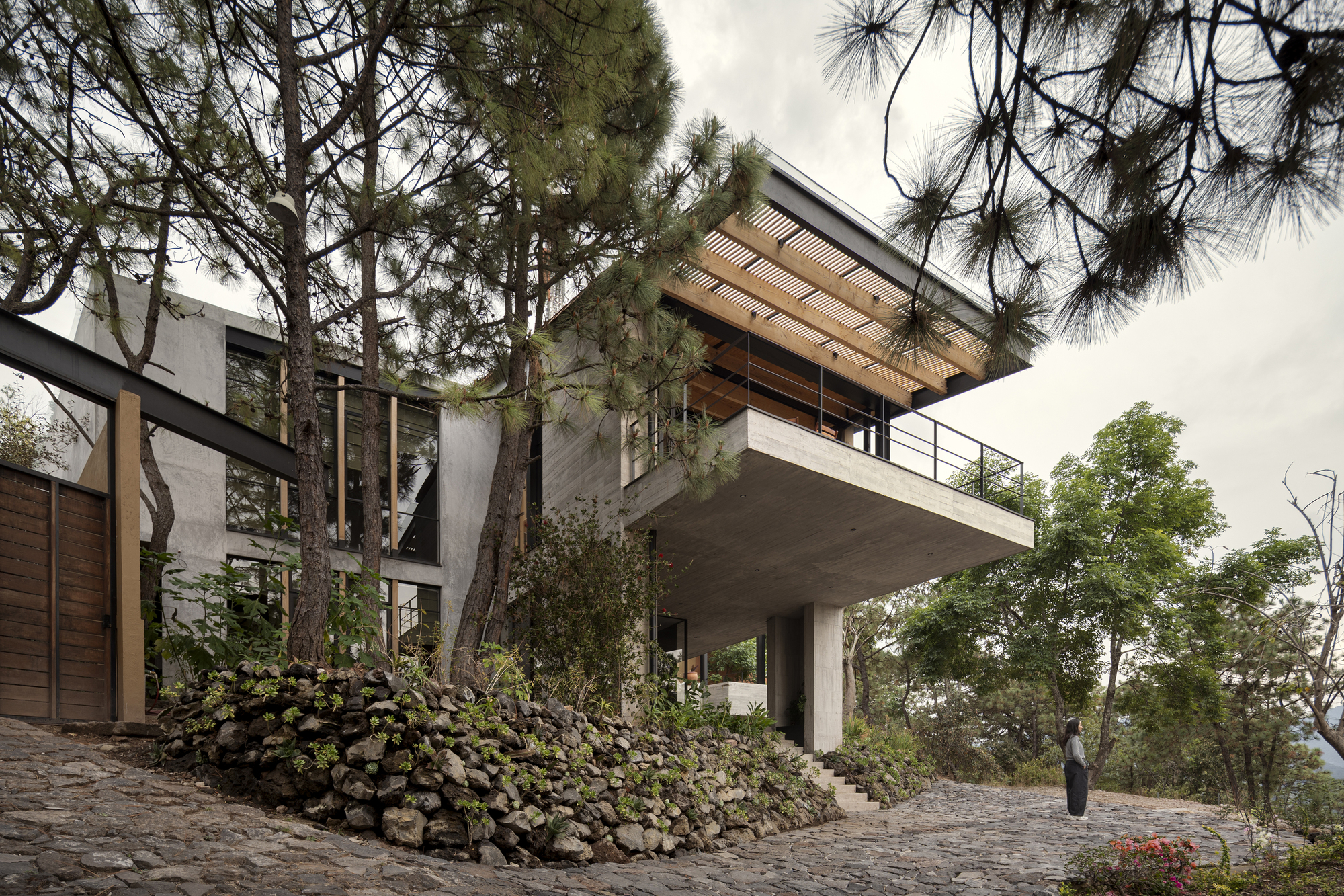Concrete cantilevered terrace with timber slatted soffit and railing among tall pine trees on a hillside
