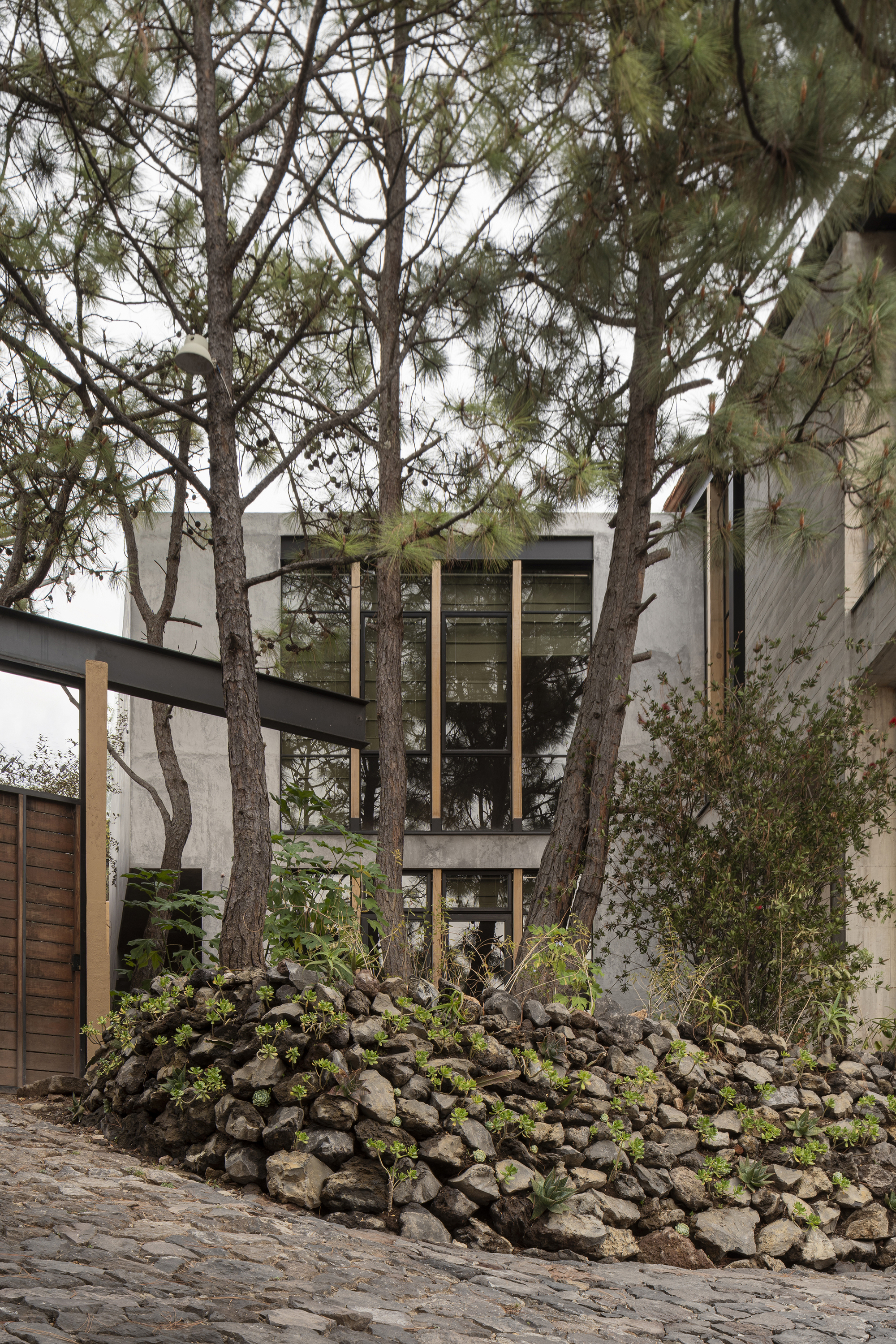 Concrete facade with tall glazed openings framed by pine trunks and a stone retaining wall below