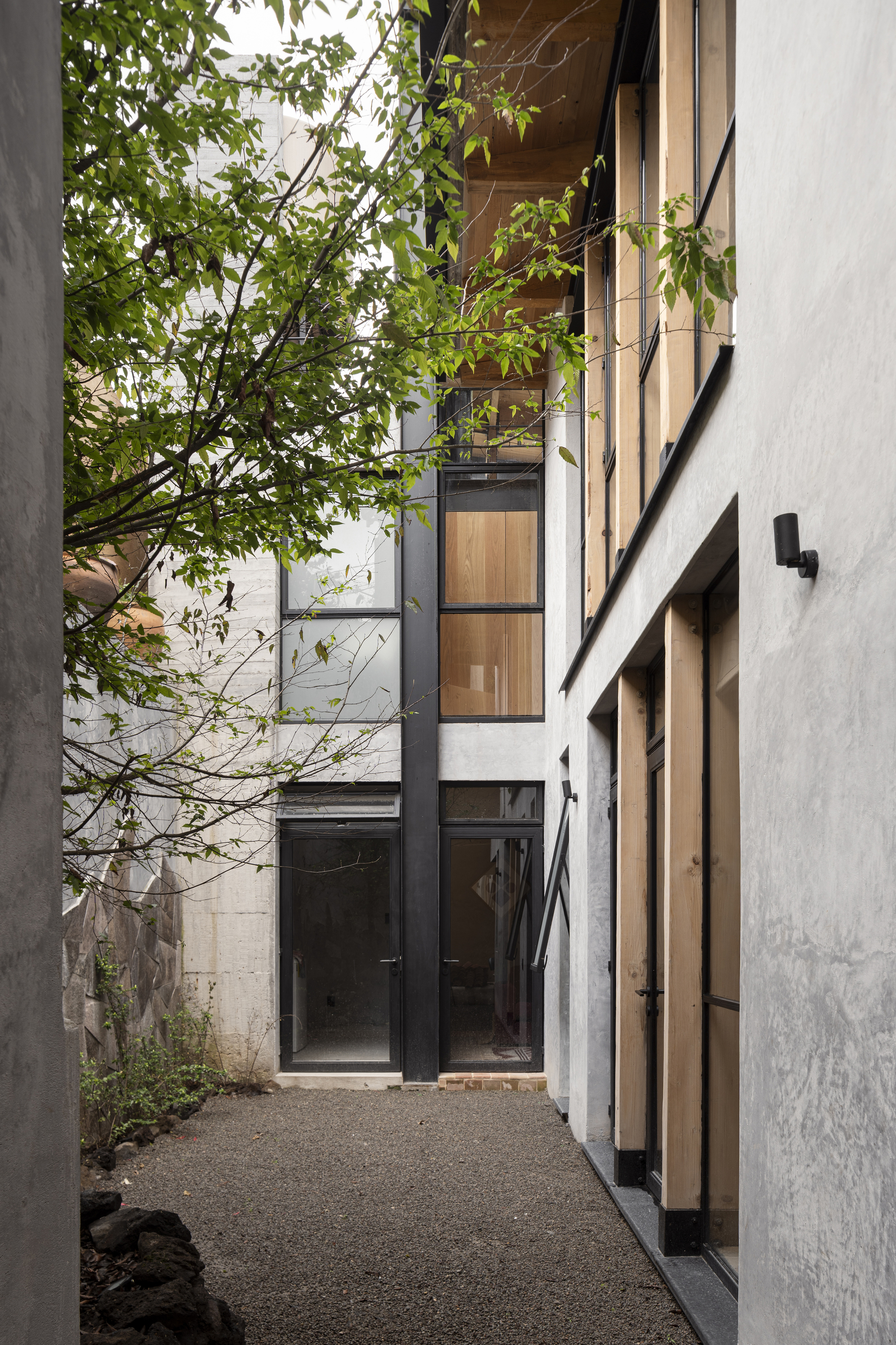 Gravel courtyard framed by rendered walls and glazed timber doors with a leafy tree overhead