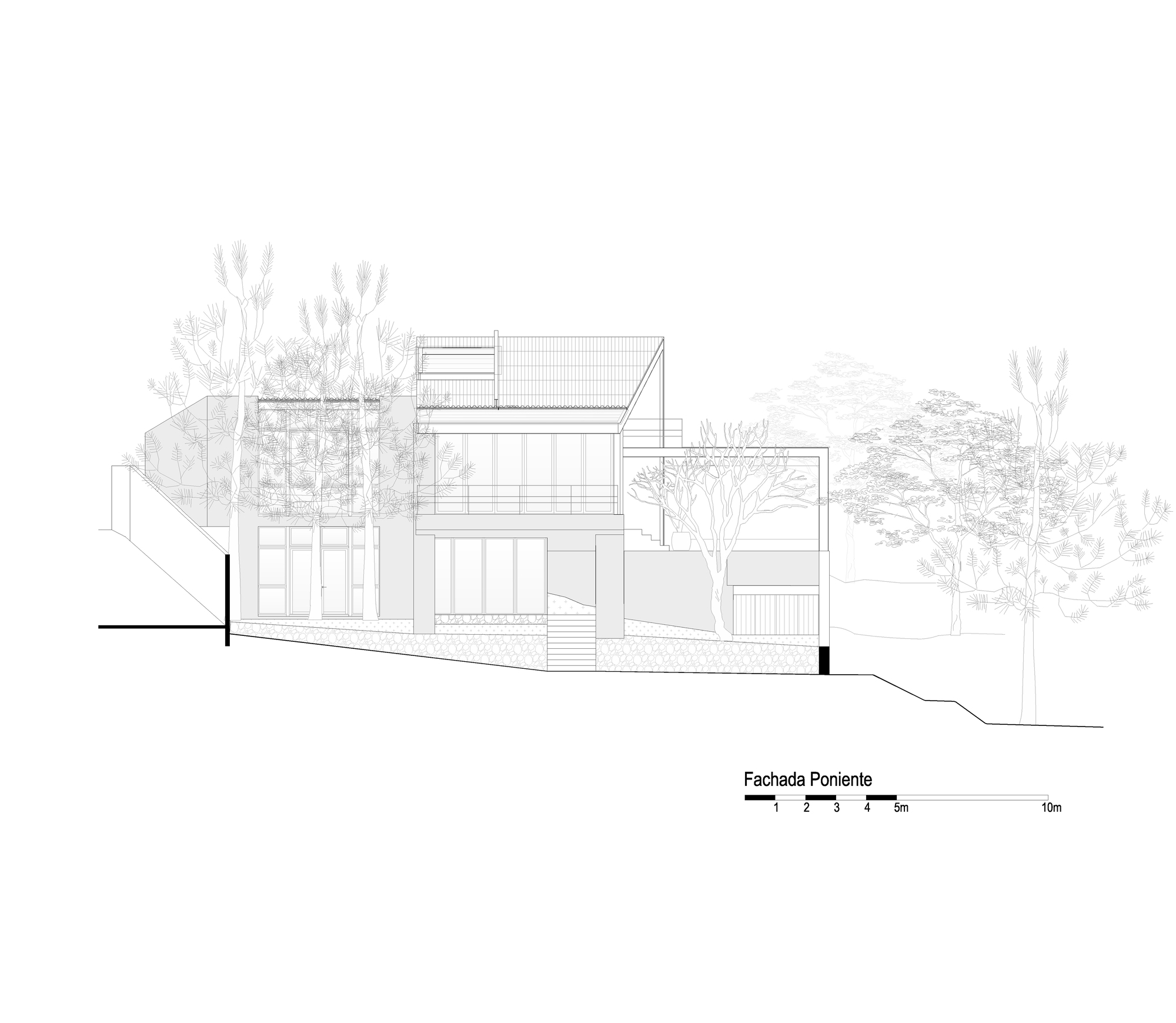 West elevation drawing showing stacked volumes with glazing and surrounding vegetation on sloping terrain