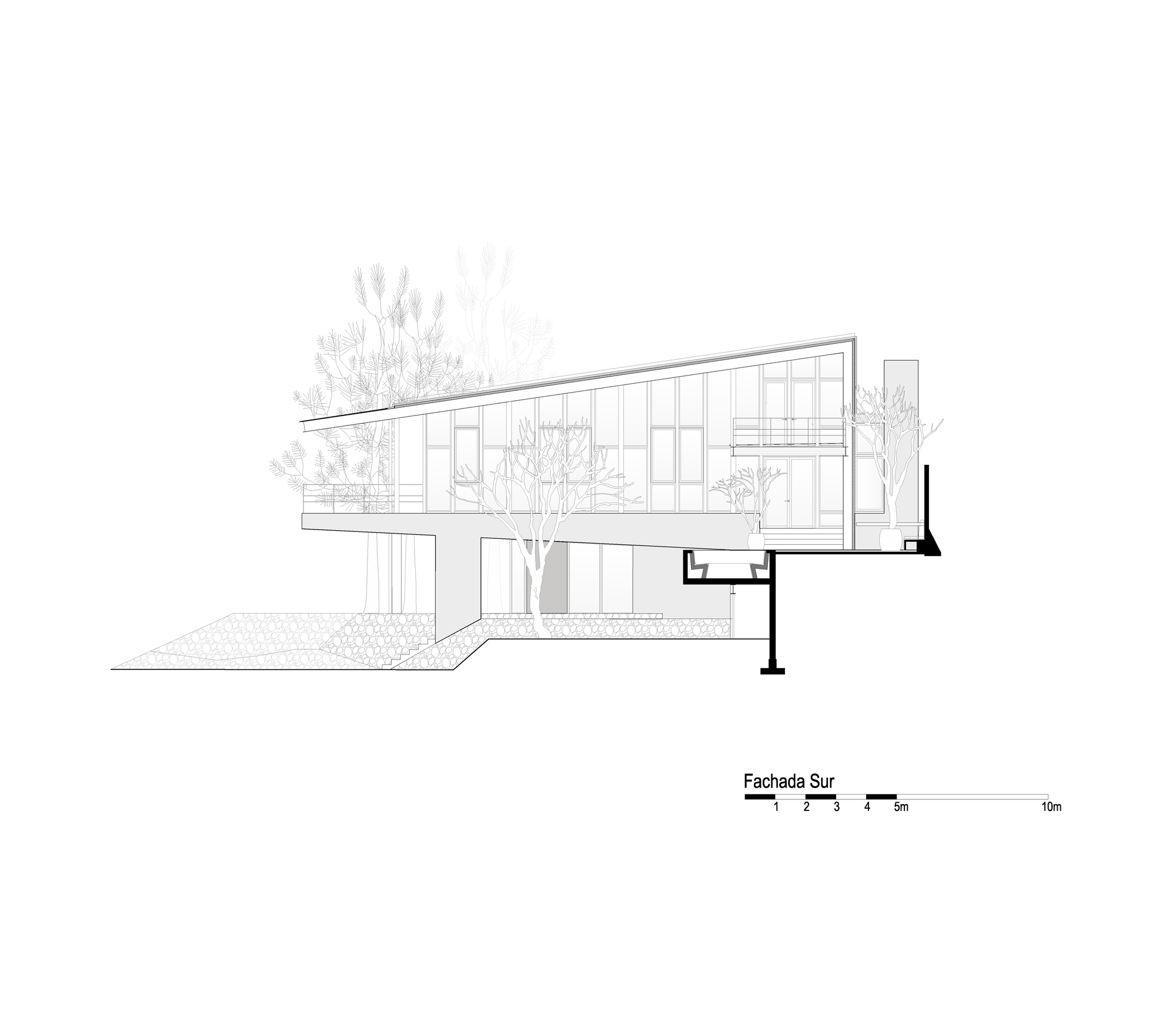 South elevation drawing depicting a cantilevered upper level with vertical glazing and trees below