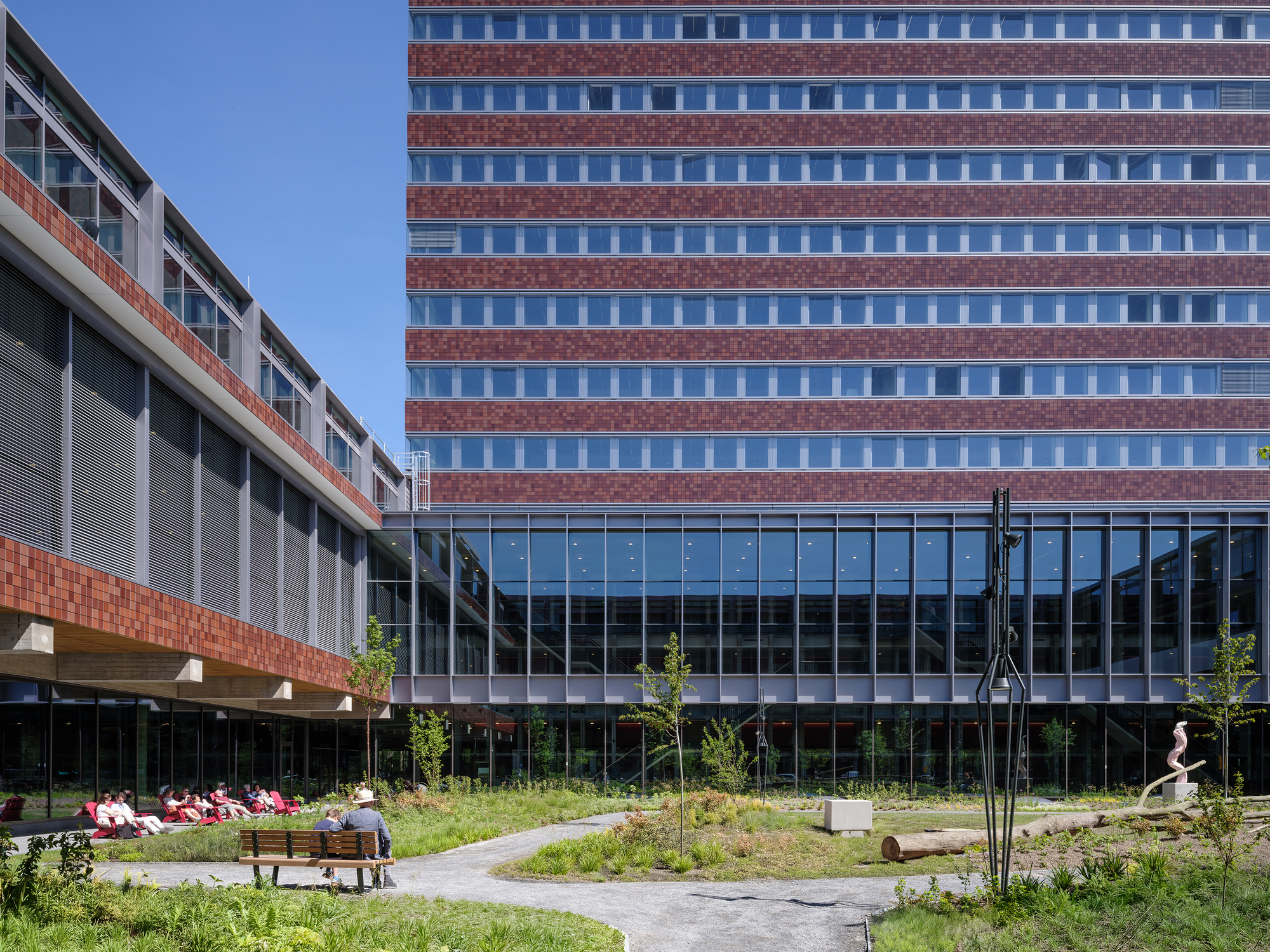Courtyard with young trees and planted beds between the low brick wing and glass tower facade