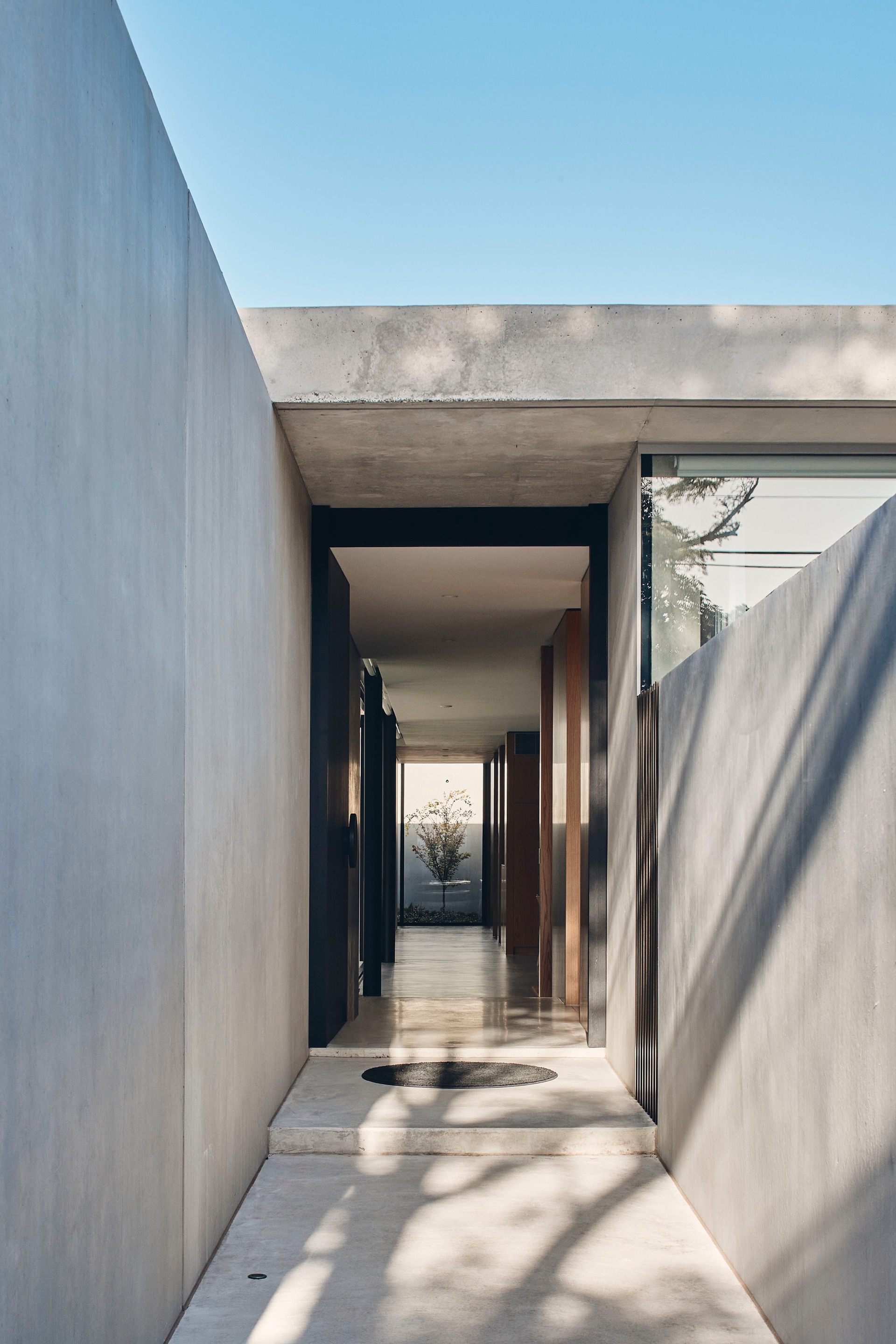 Entry corridor with concrete walls and timber lining leading through to a planted courtyard beyond