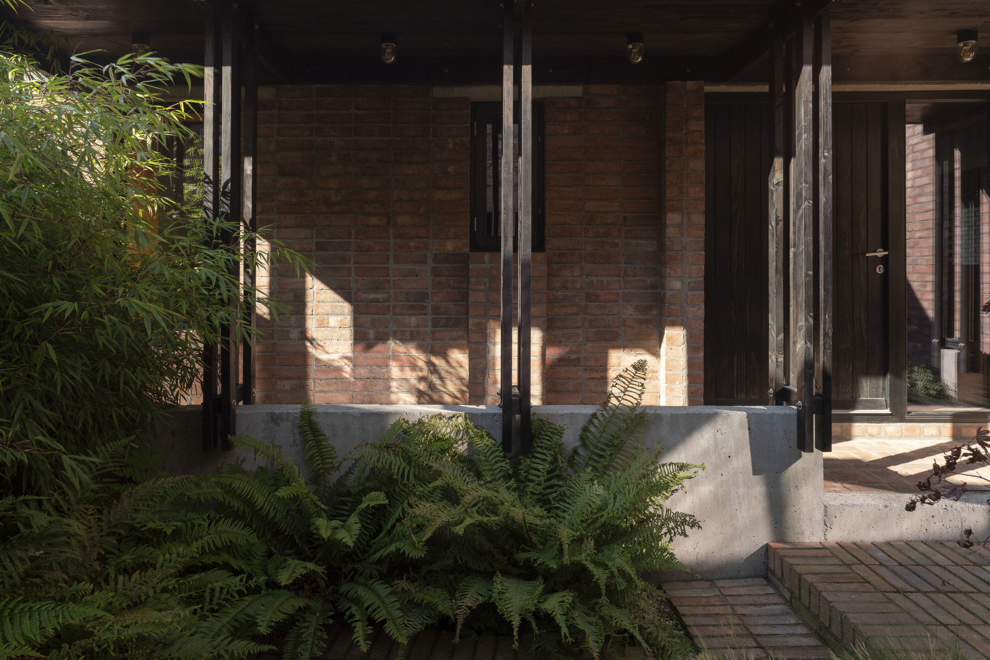 Concrete planter bed with ferns and brick paving, shadows cast on brick wall behind glass doors