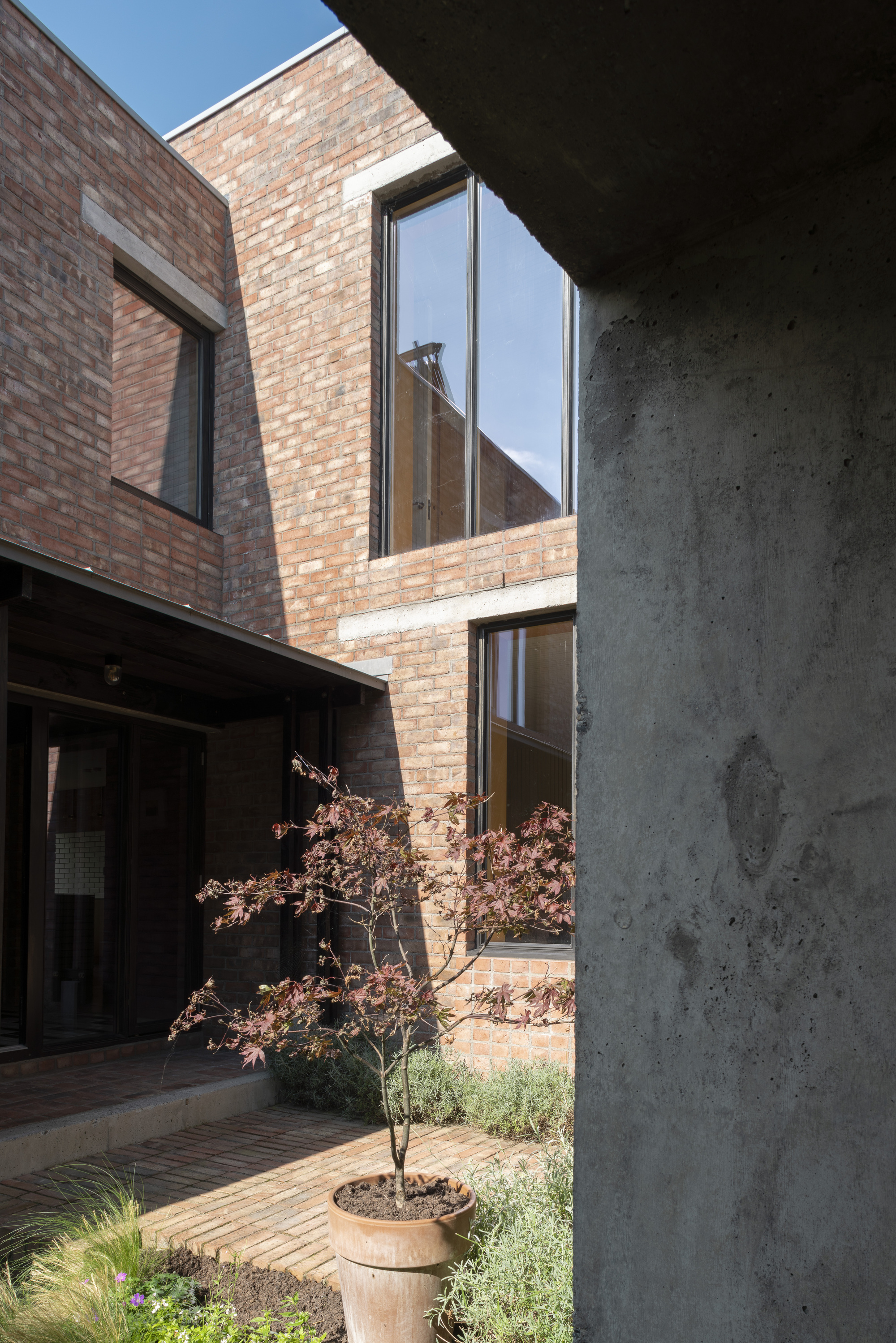 Courtyard view framed by concrete column with brick volumes and potted maple tree in afternoon light