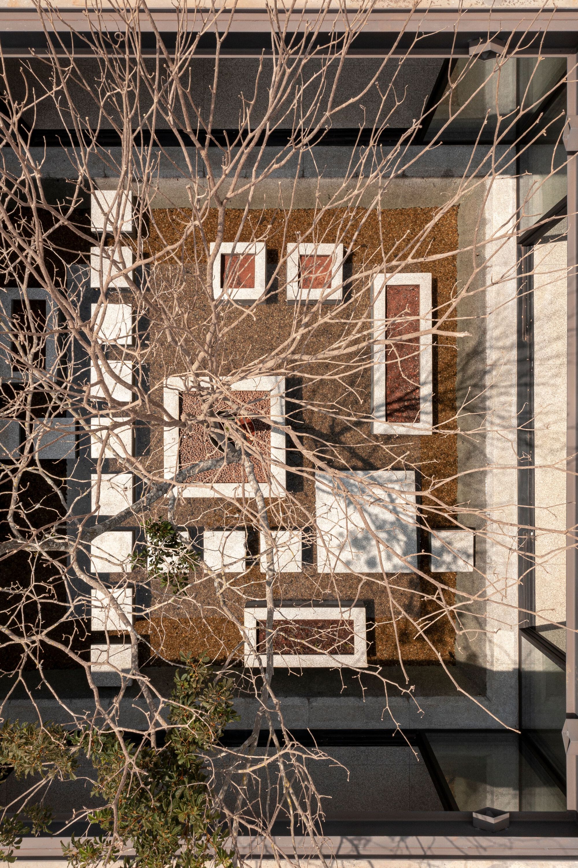 Overhead view of the courtyard showing shadows from bare tree branches across concrete stepping stones