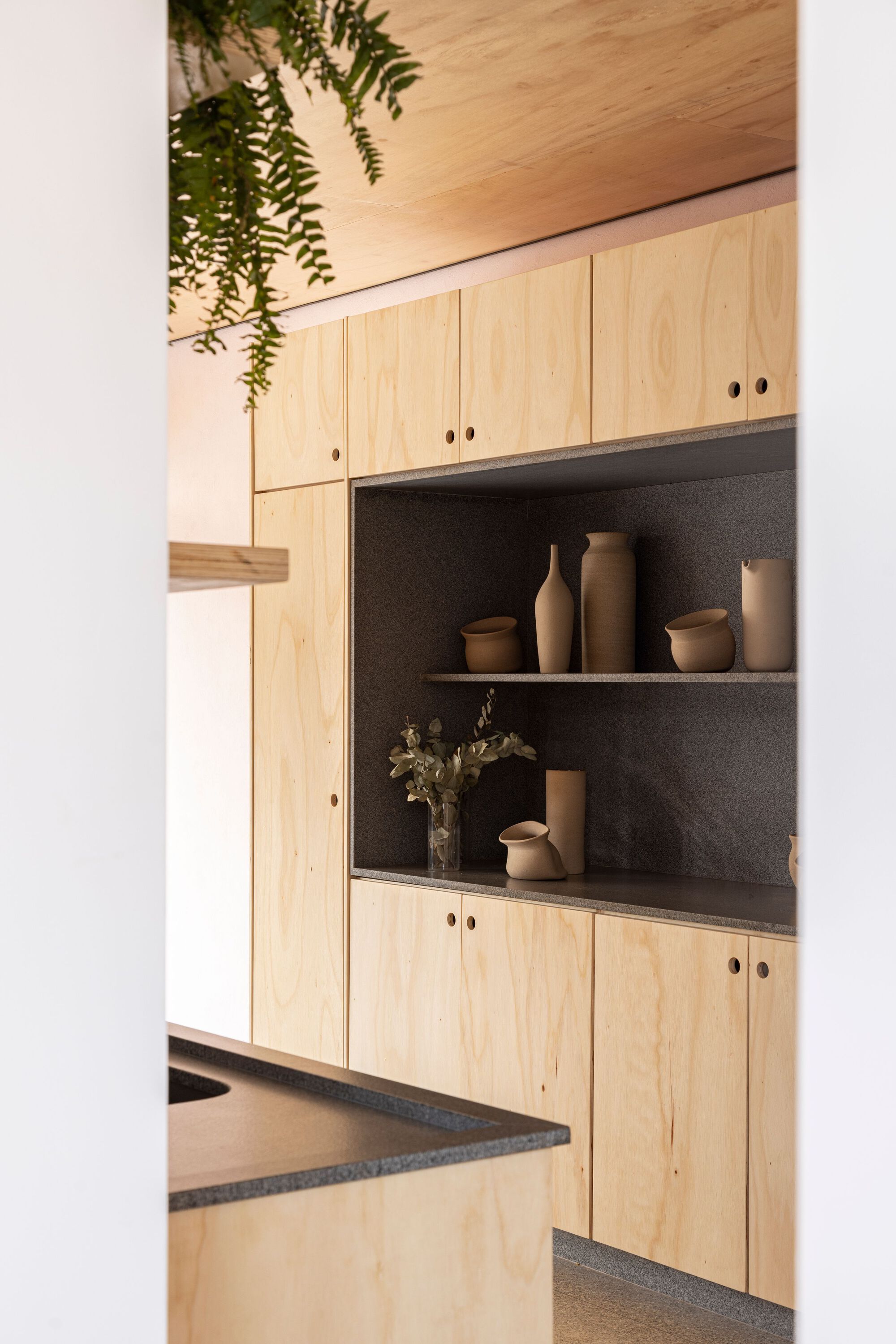 Built-in plywood cabinetry with open shelving niche displaying ceramic vessels and hanging ferns