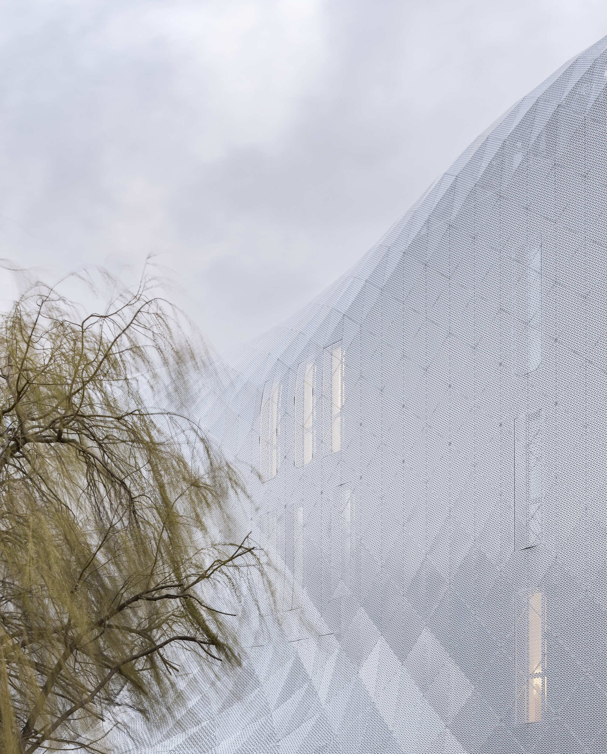 Upward view of the mesh-clad sloped roof with weeping willow branches in the foreground