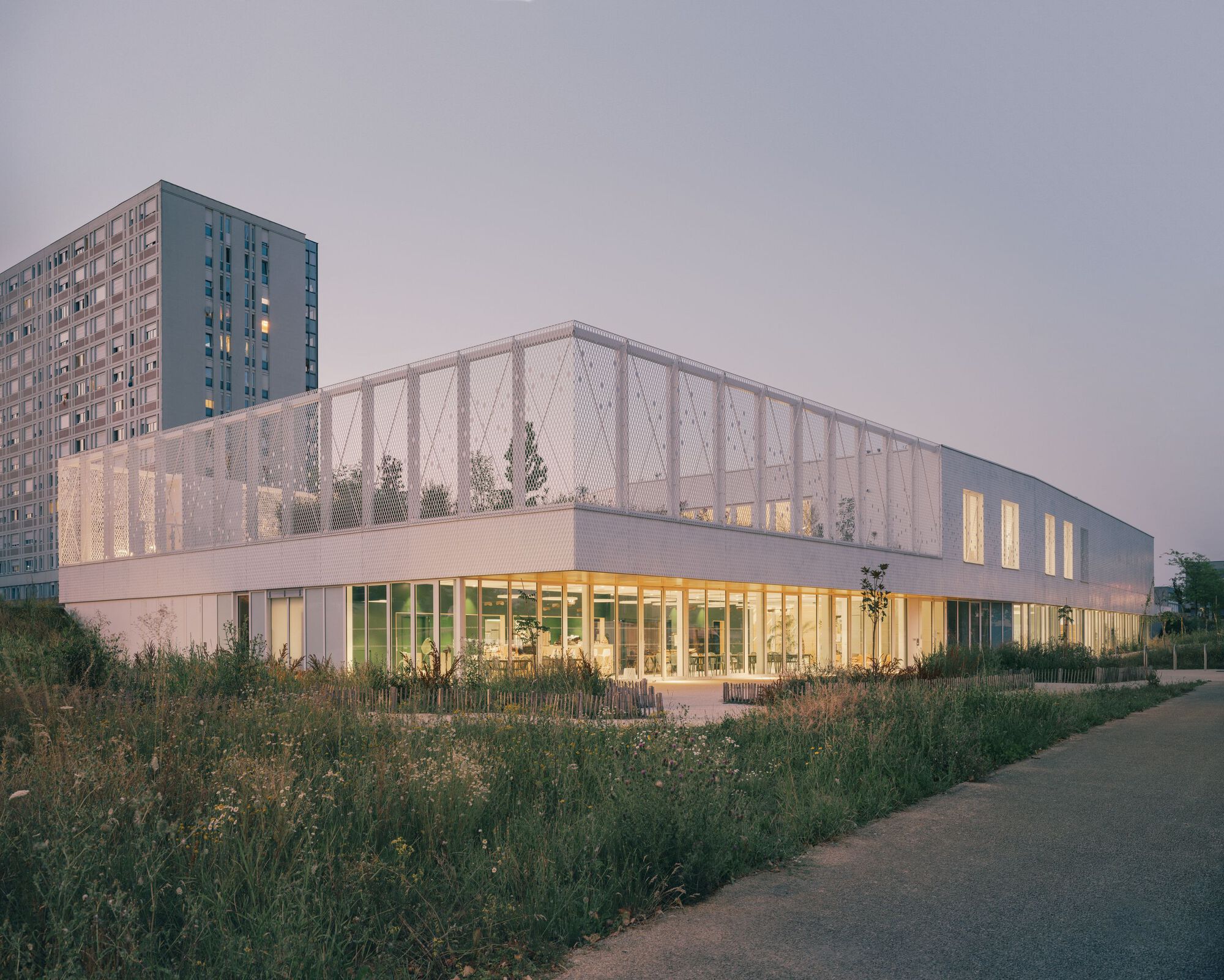 Corner view of the metal mesh-wrapped facade at twilight with residential tower behind and grasses in foreground